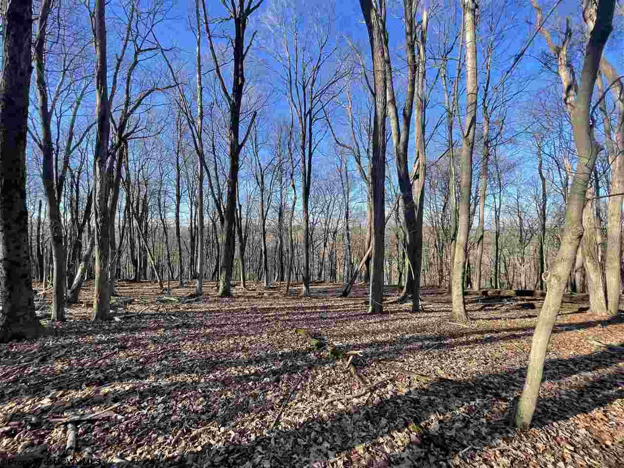 Gallery Image 16
