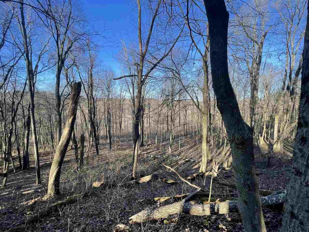 Gallery Image 17