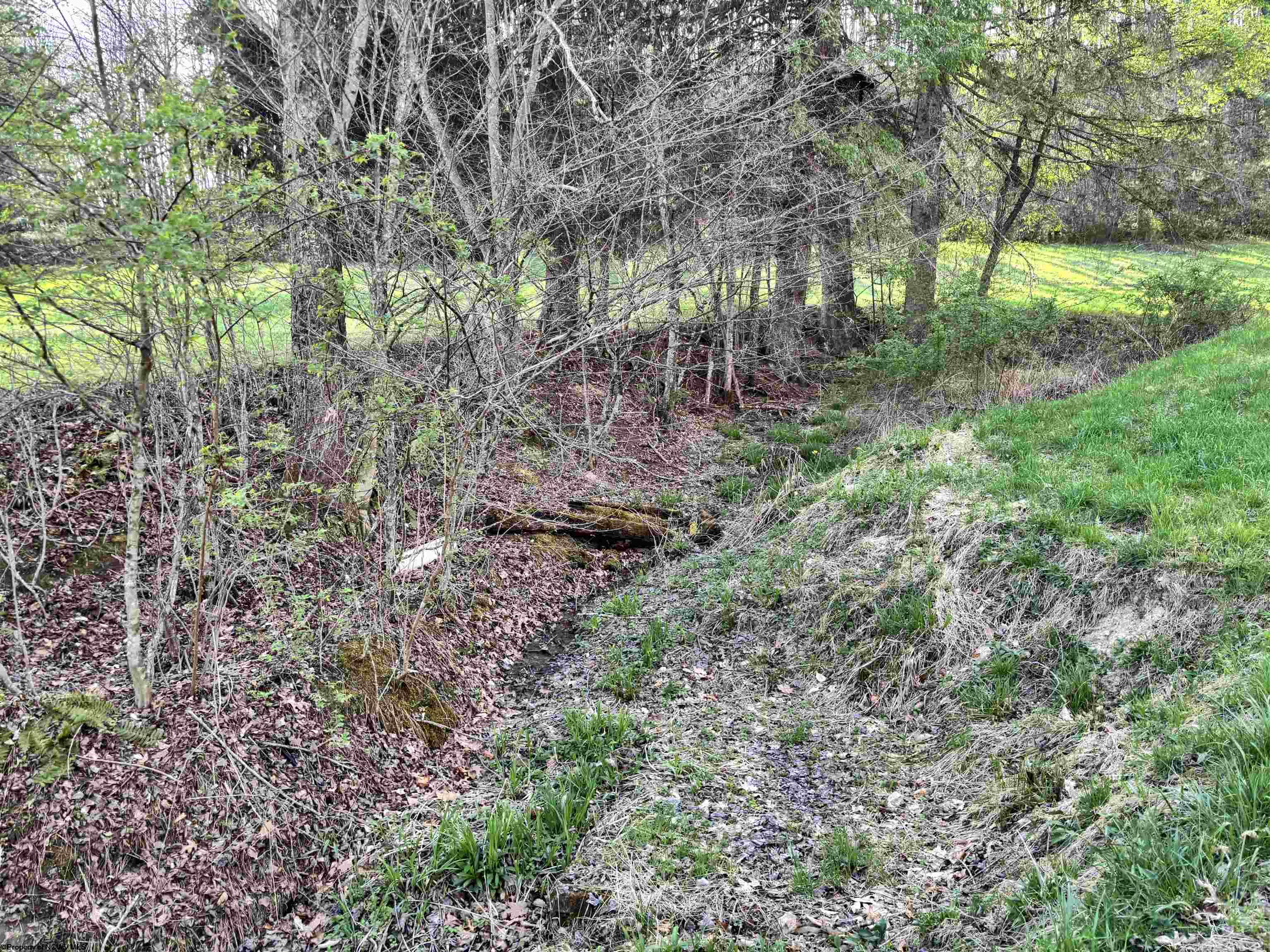 Gallery Image 17