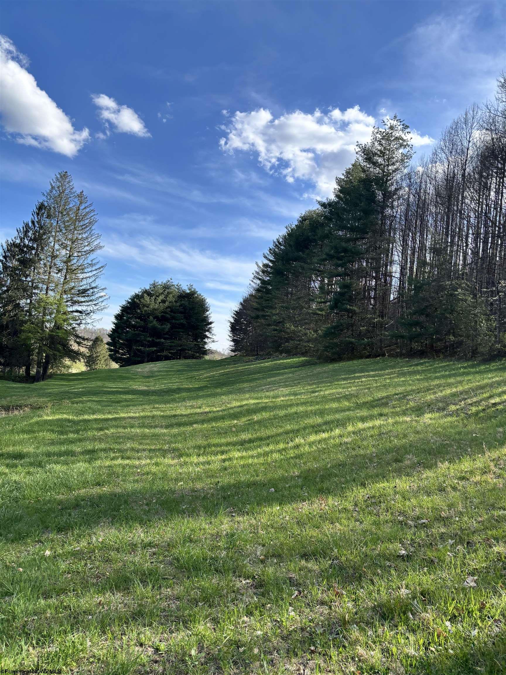 Gallery Image 18
