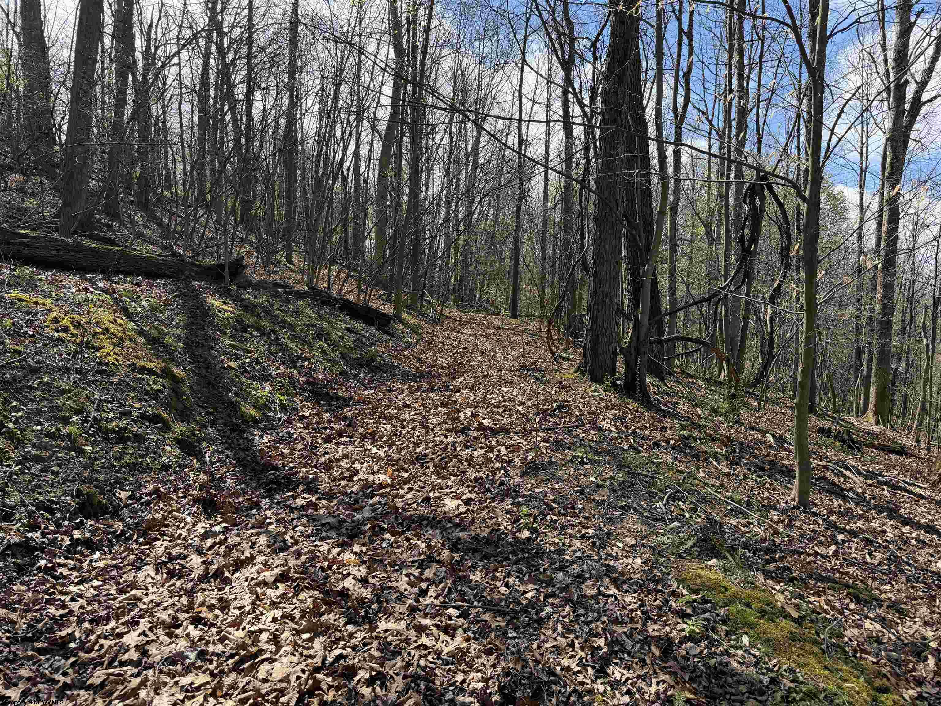 Gallery Image 12