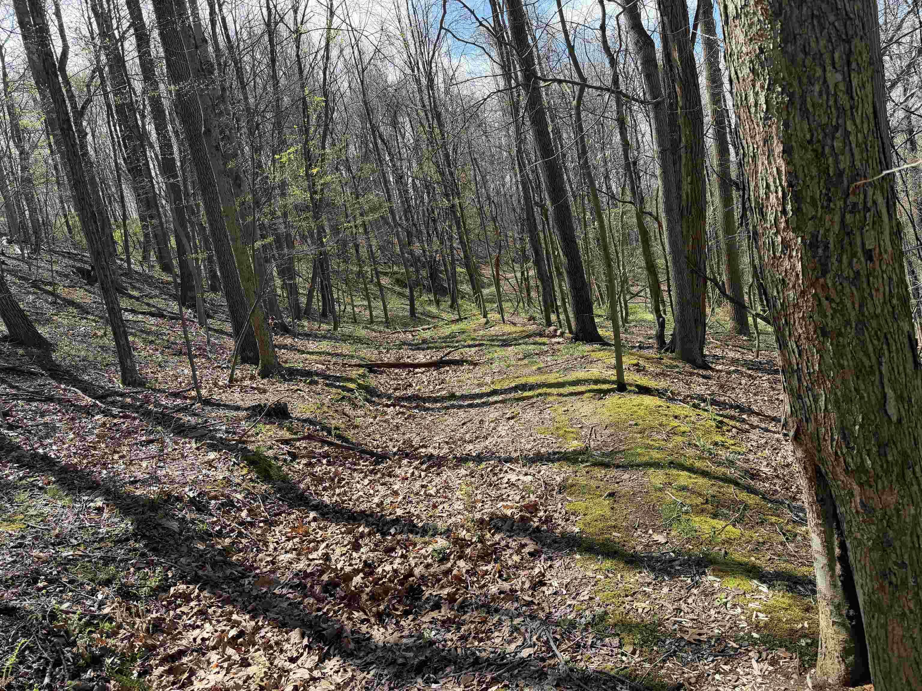 Gallery Image 13