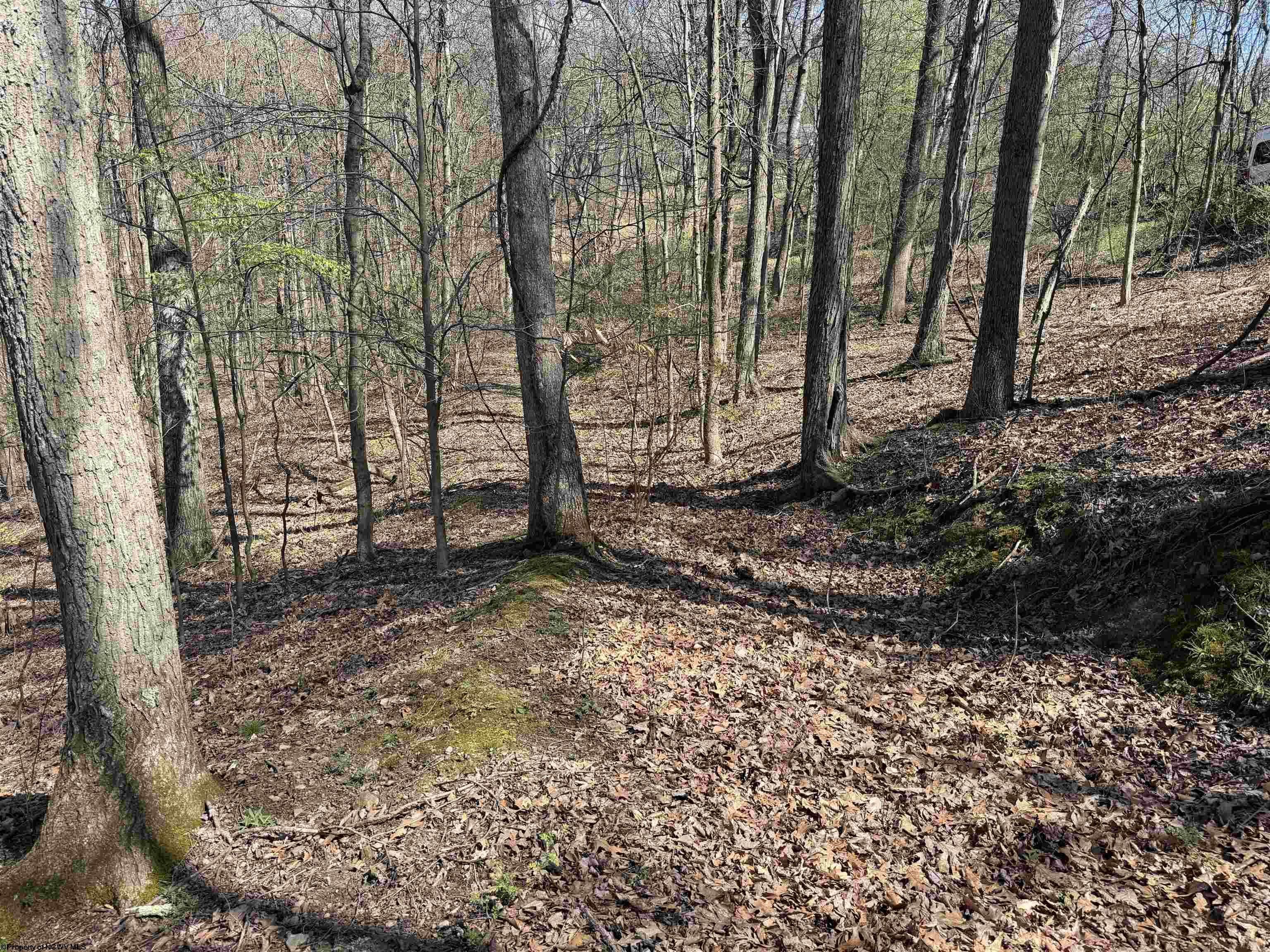 Gallery Image 15