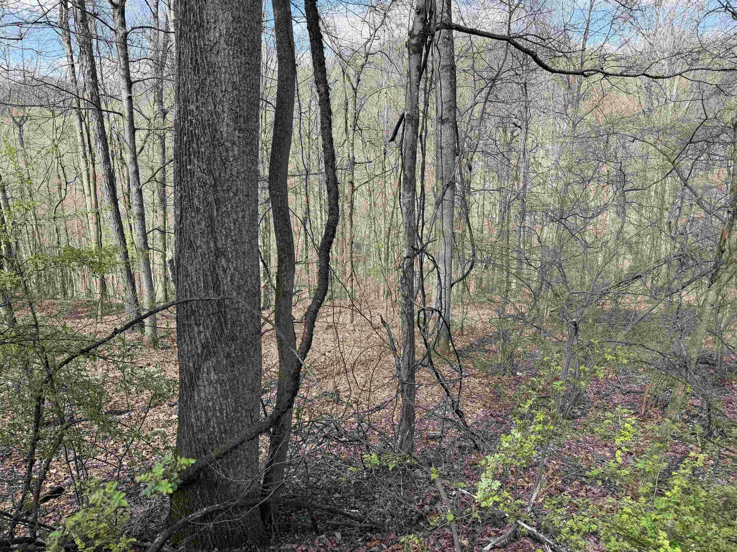 Gallery Image 16