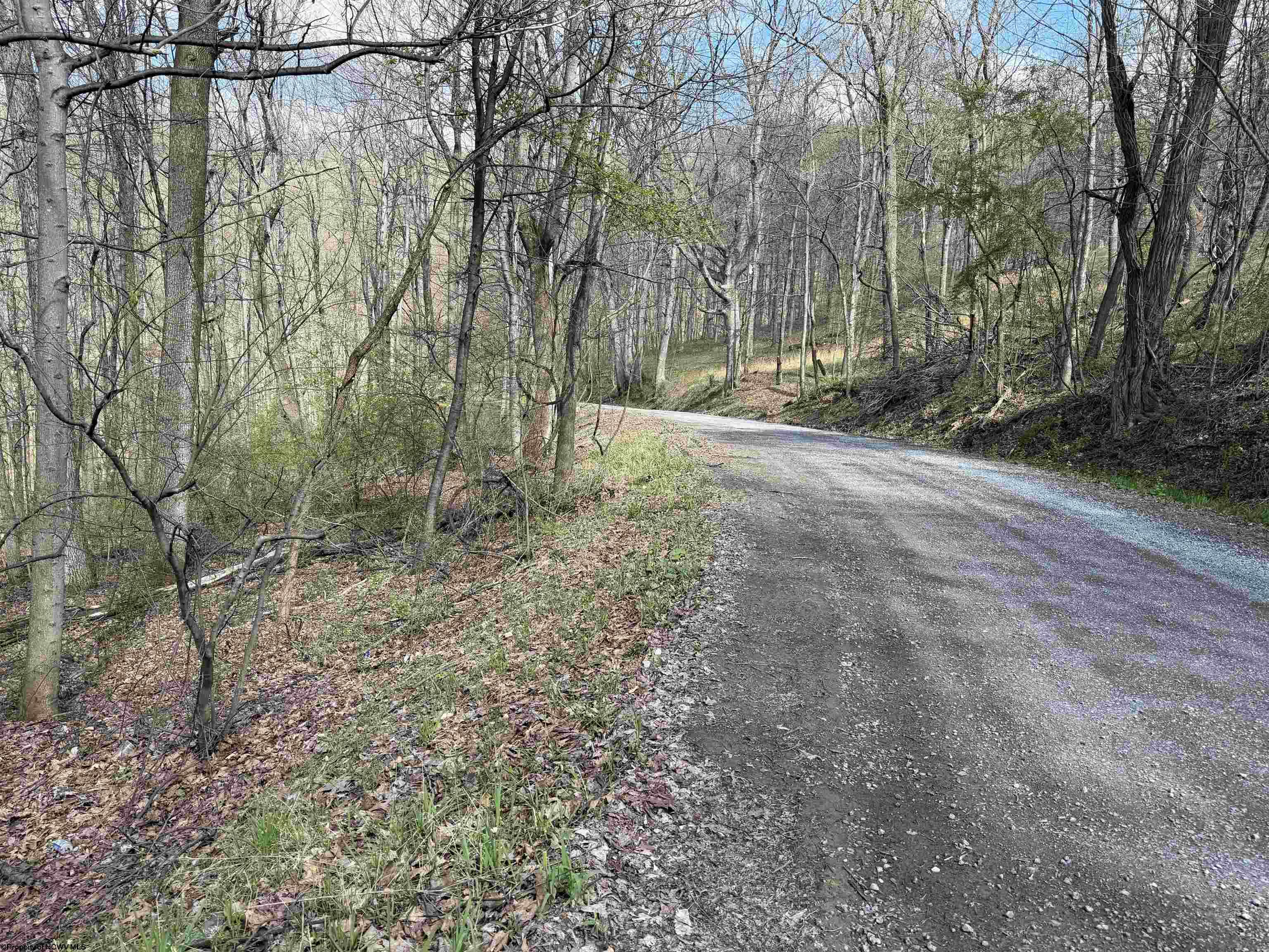 Gallery Image 17