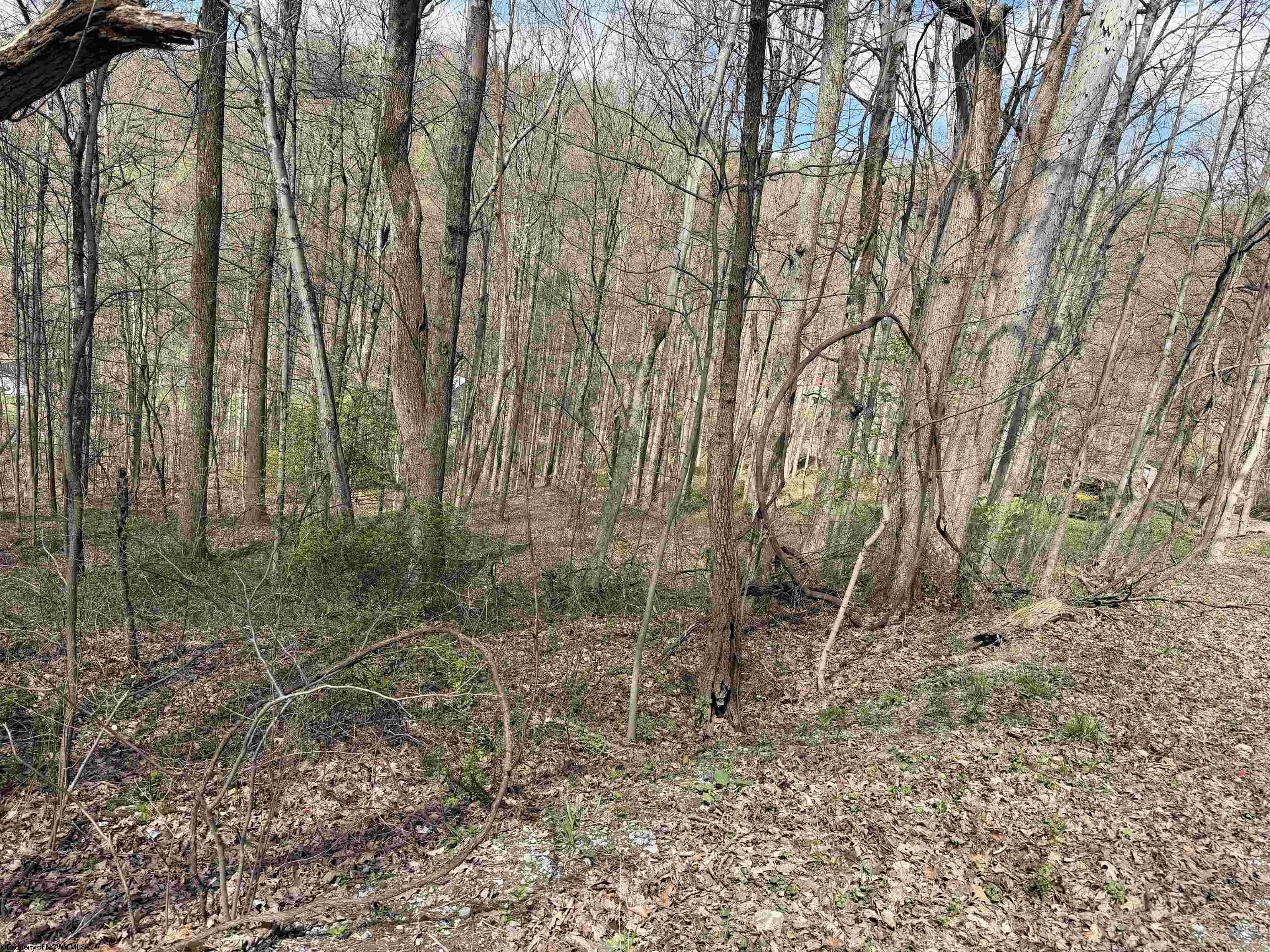 Gallery Image 6