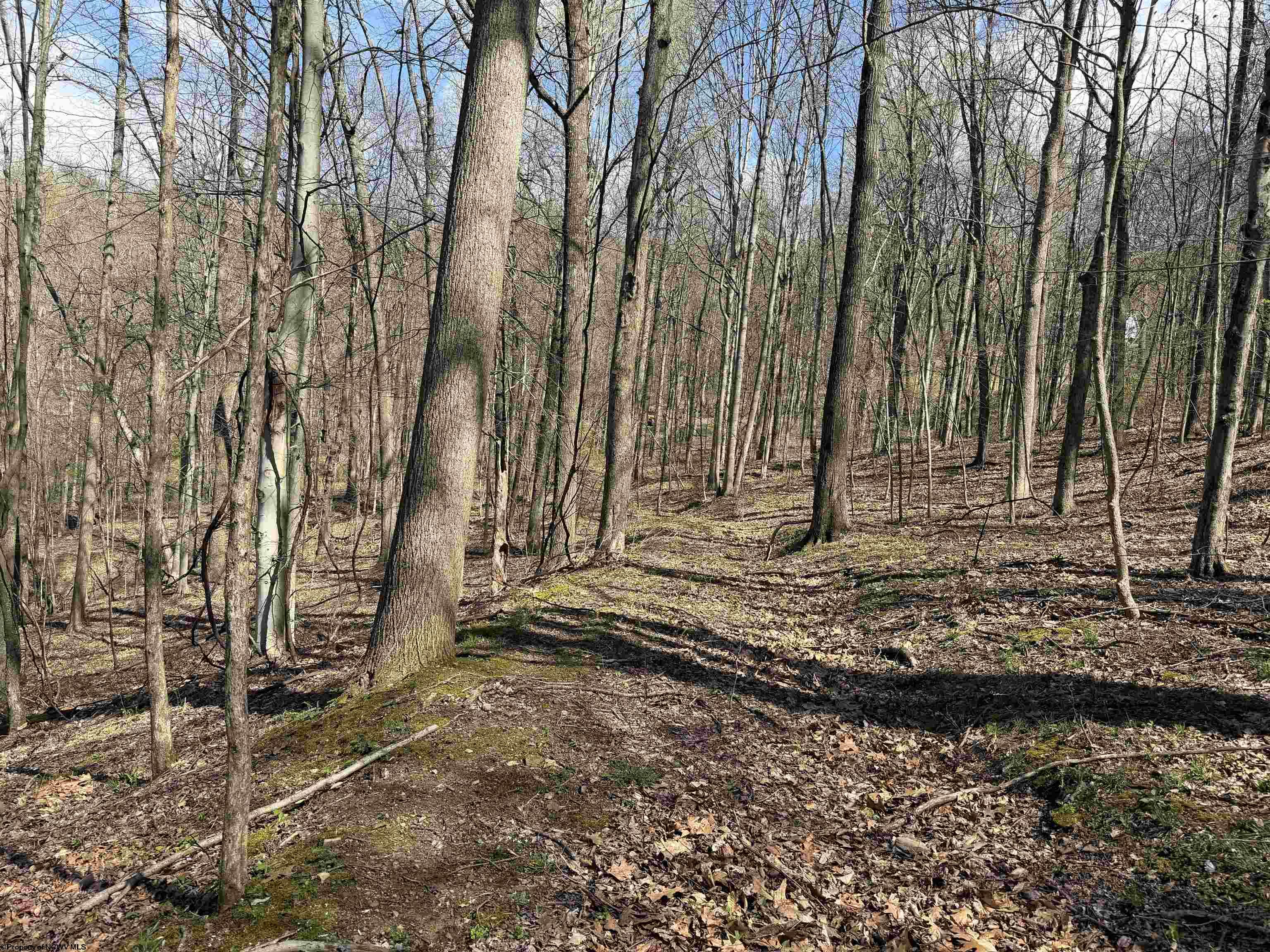 Gallery Image 8