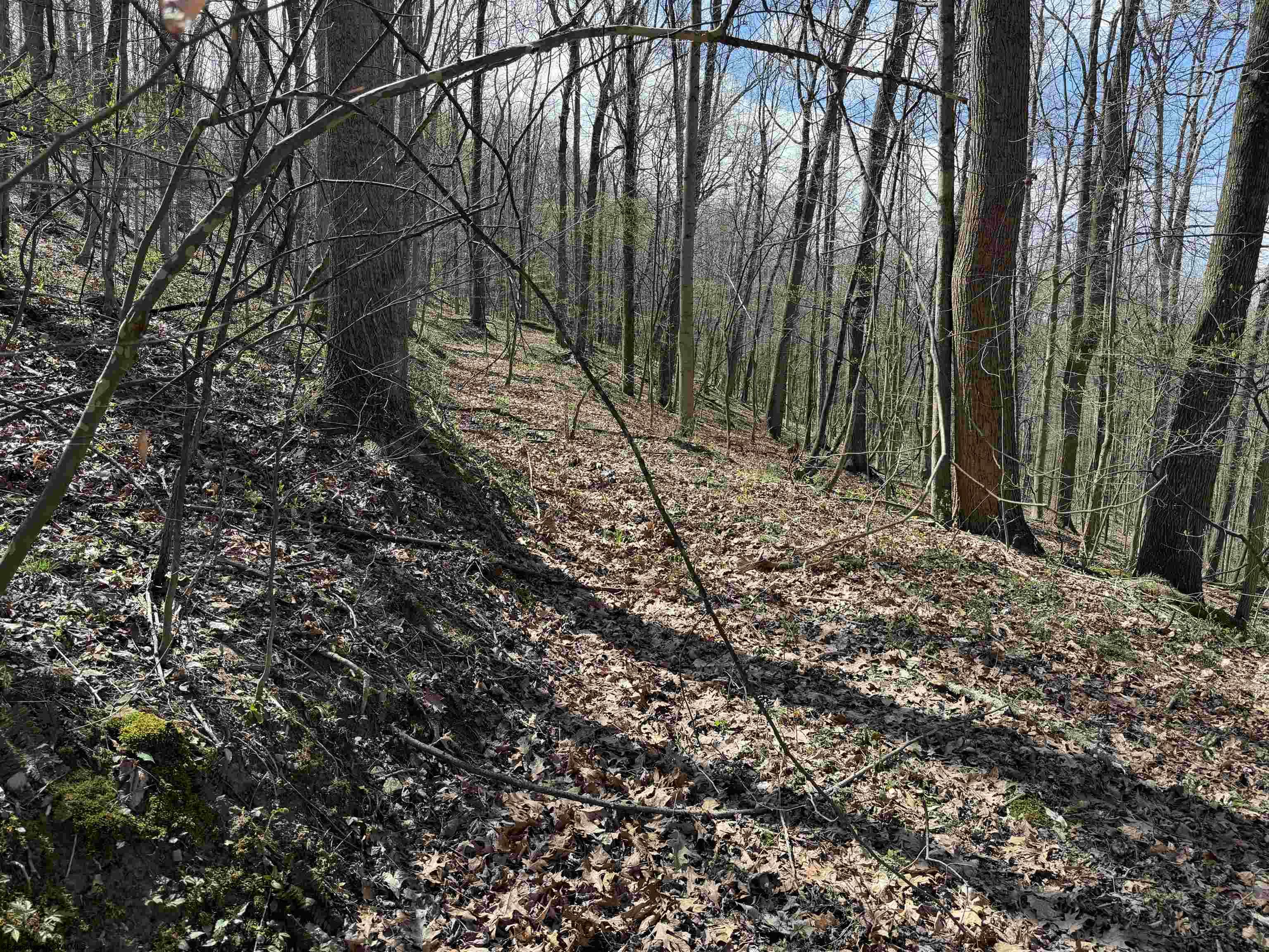 Gallery Image 9