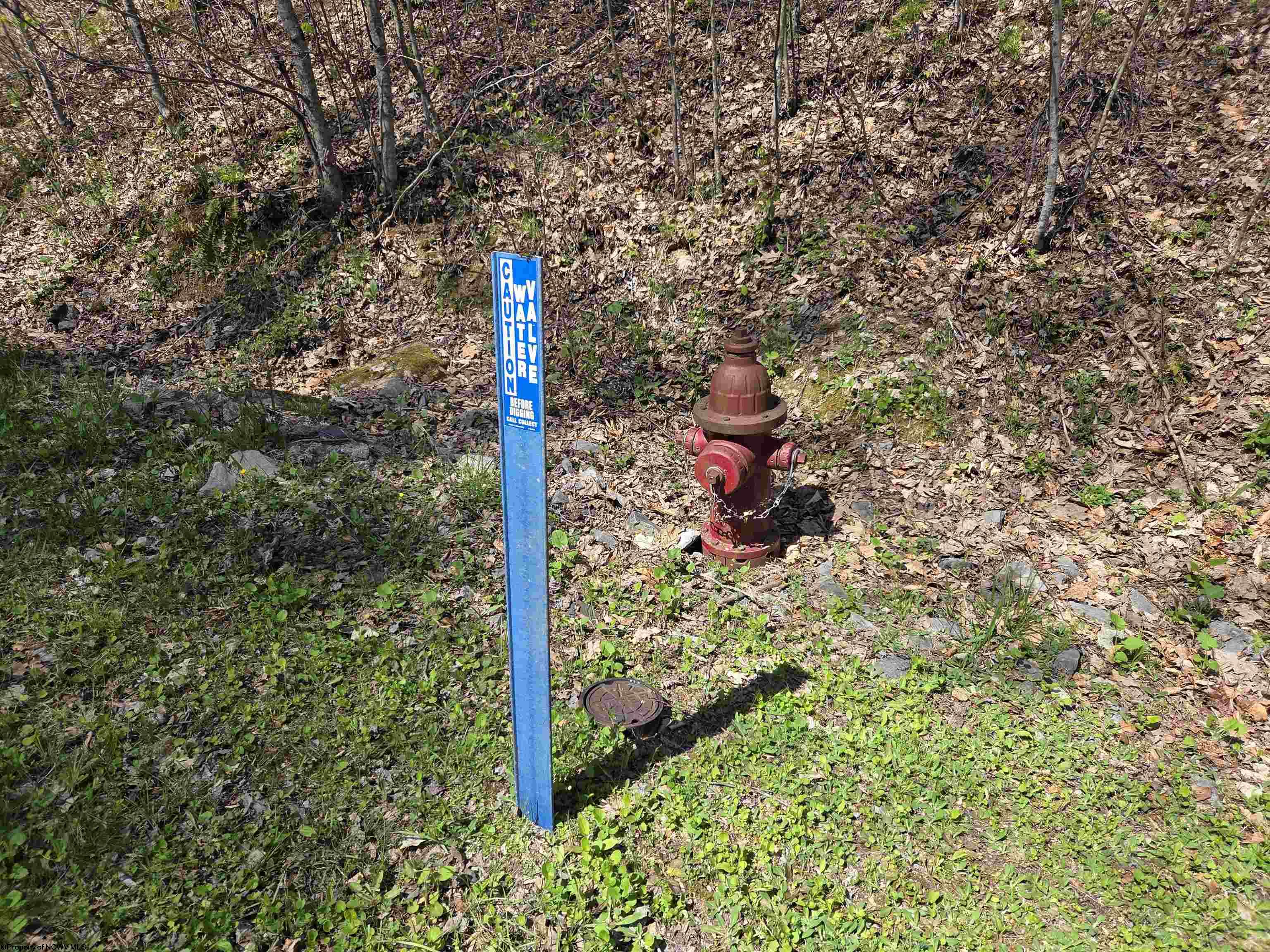 Gallery Image 16