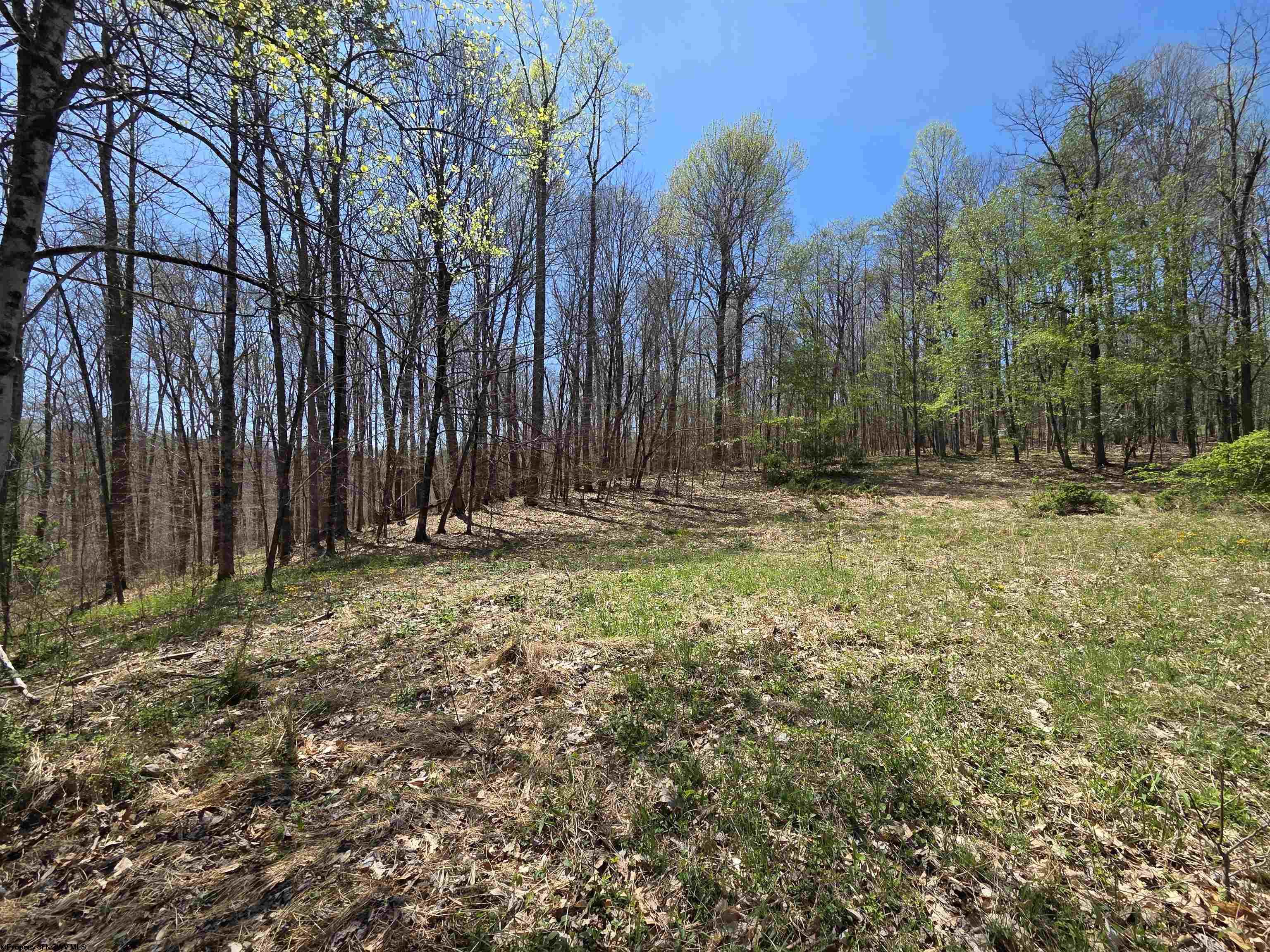 Gallery Image 18