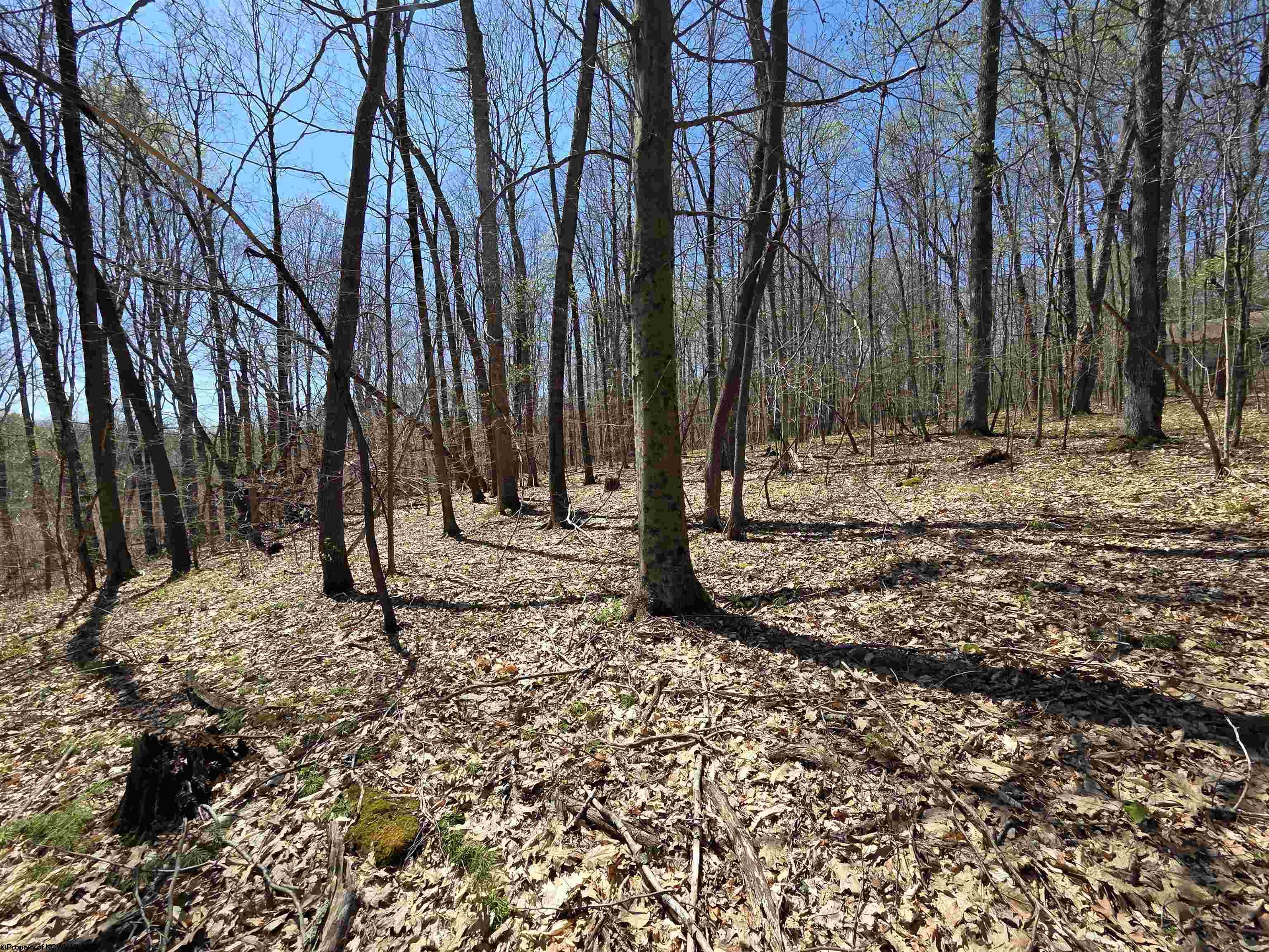 Gallery Image 19
