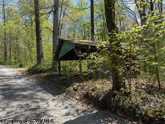 Gallery Image 15