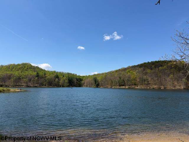 Gallery Image 16