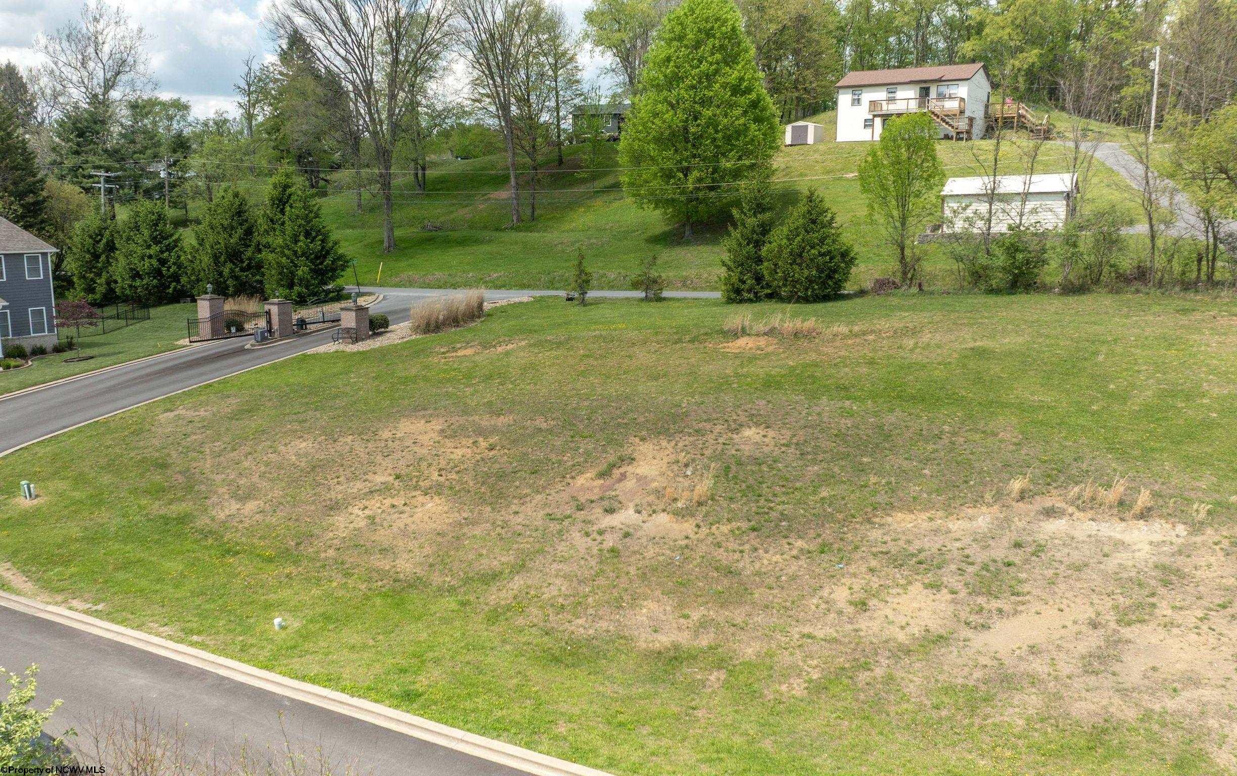Gallery Image 6