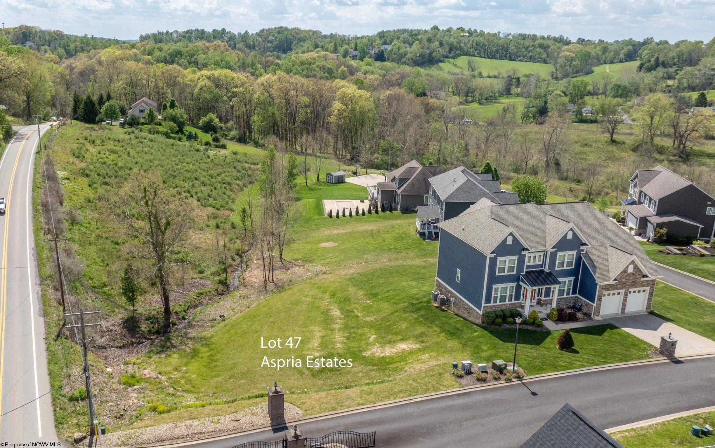 Gallery Image 10