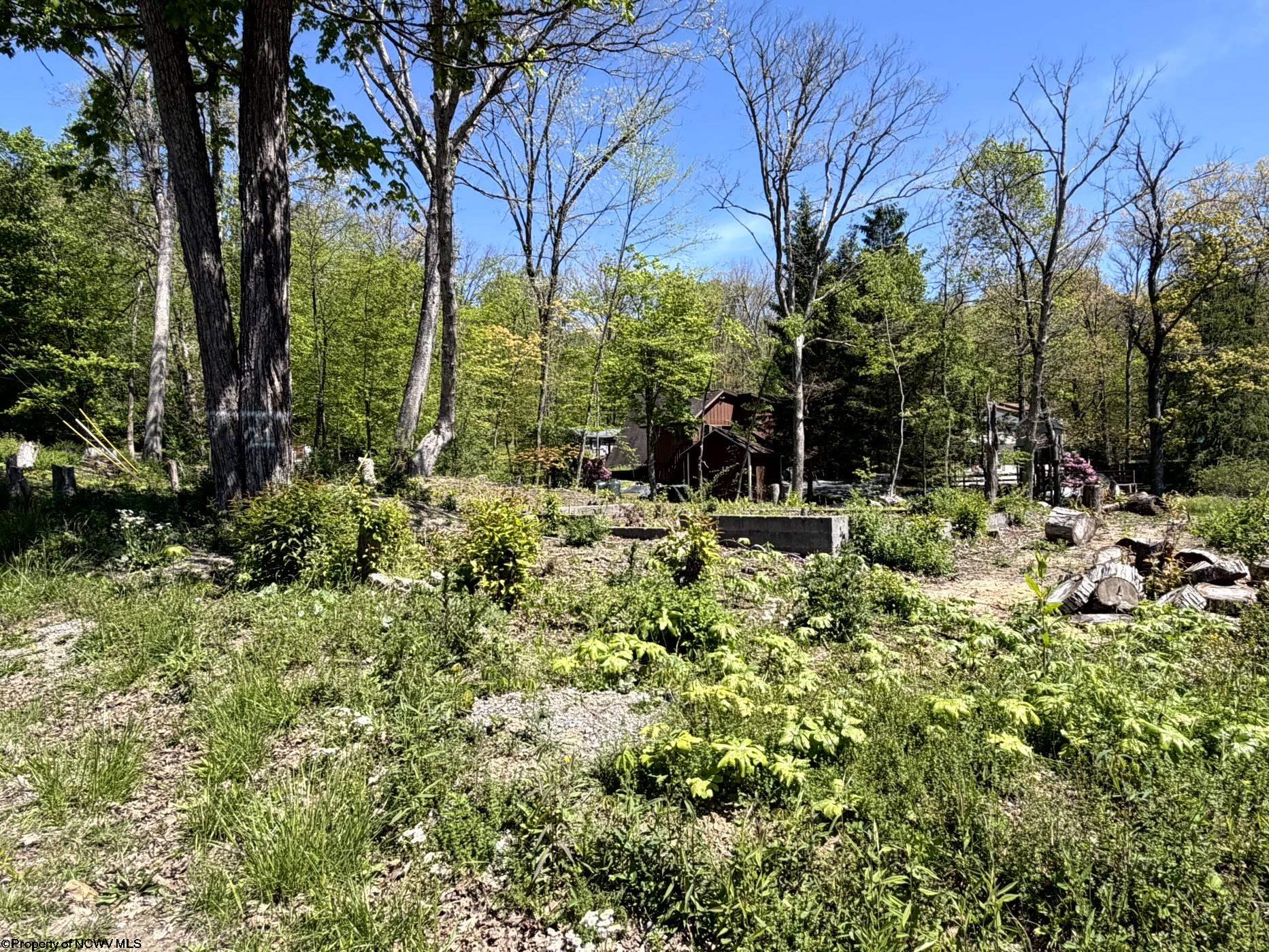 Gallery Image 10