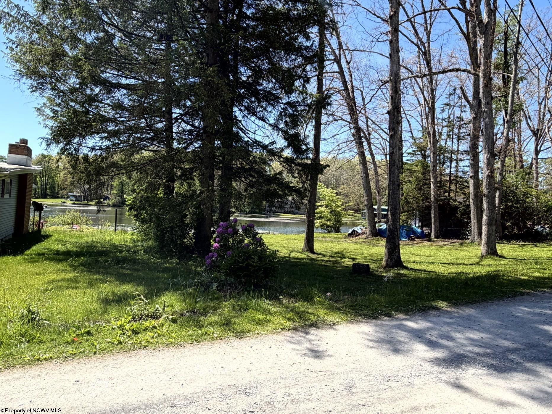 Gallery Image 11