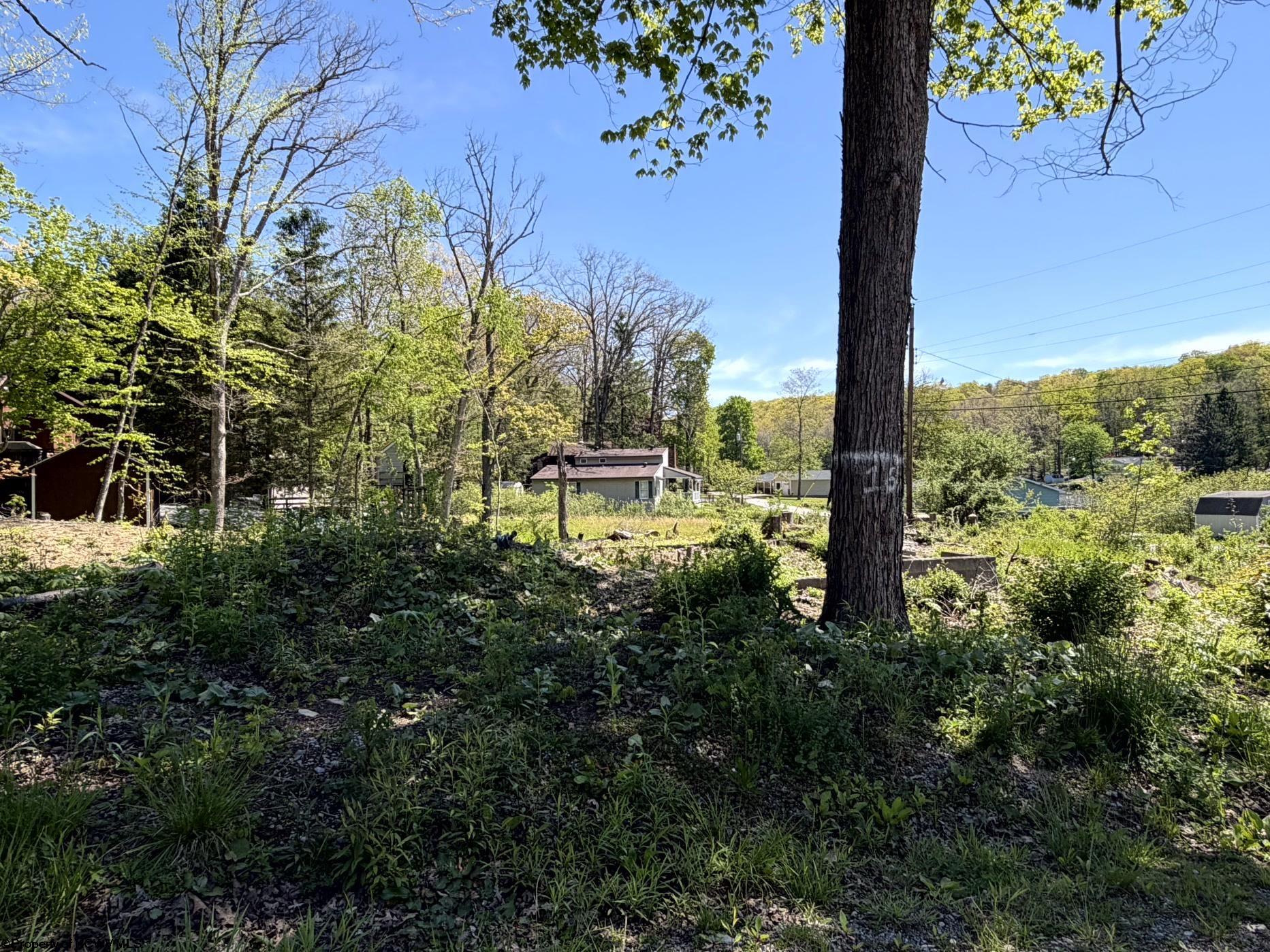 Gallery Image 14