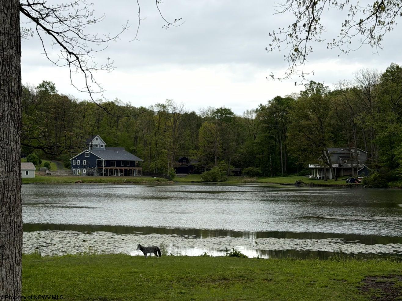 Gallery Image 15