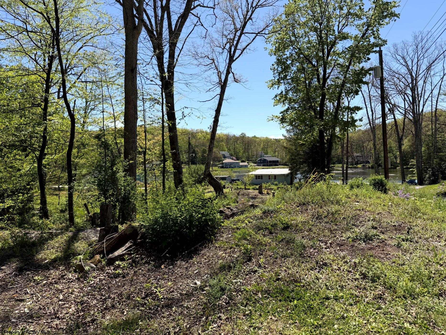 Gallery Image 16