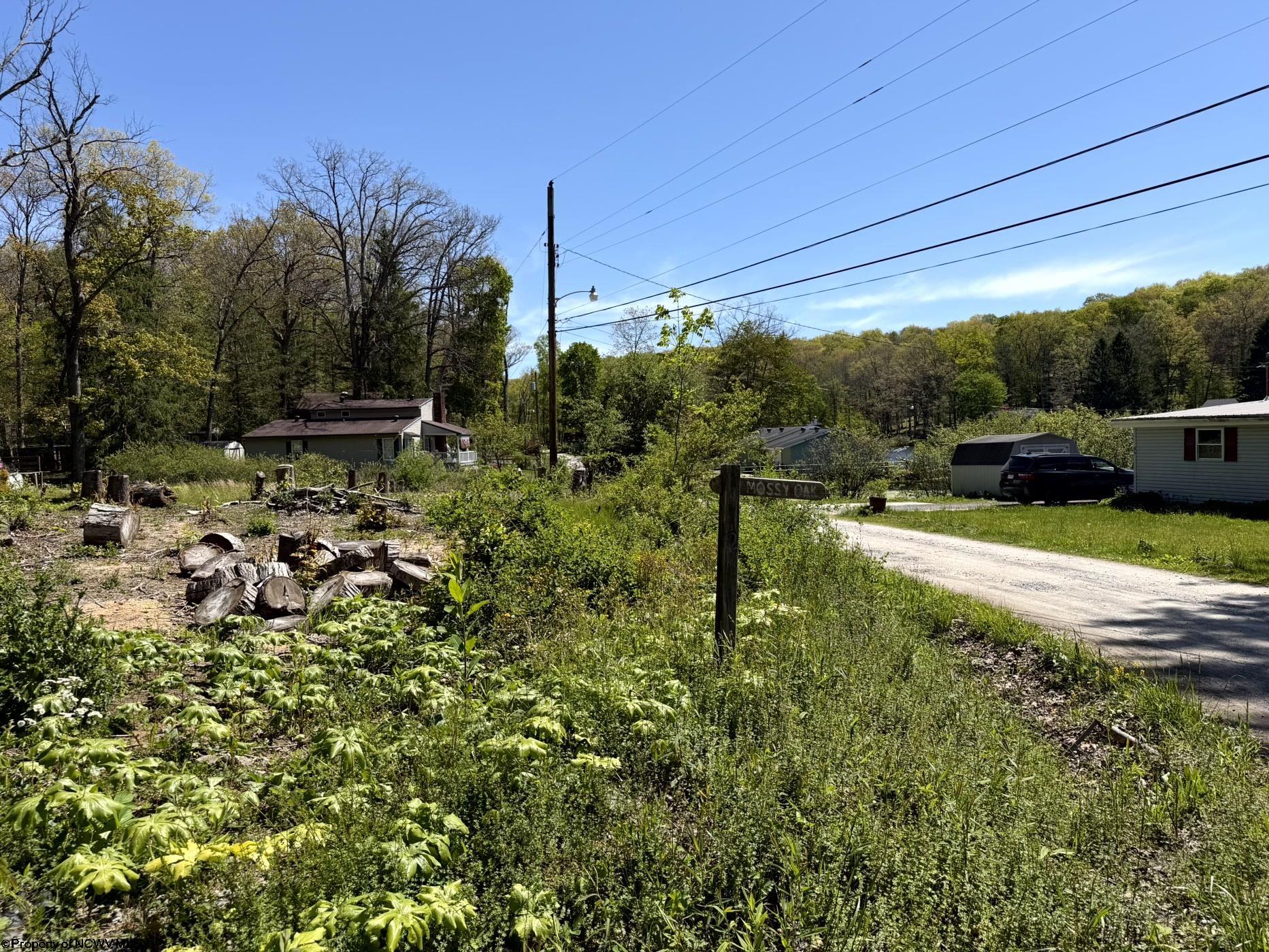 Gallery Image 17