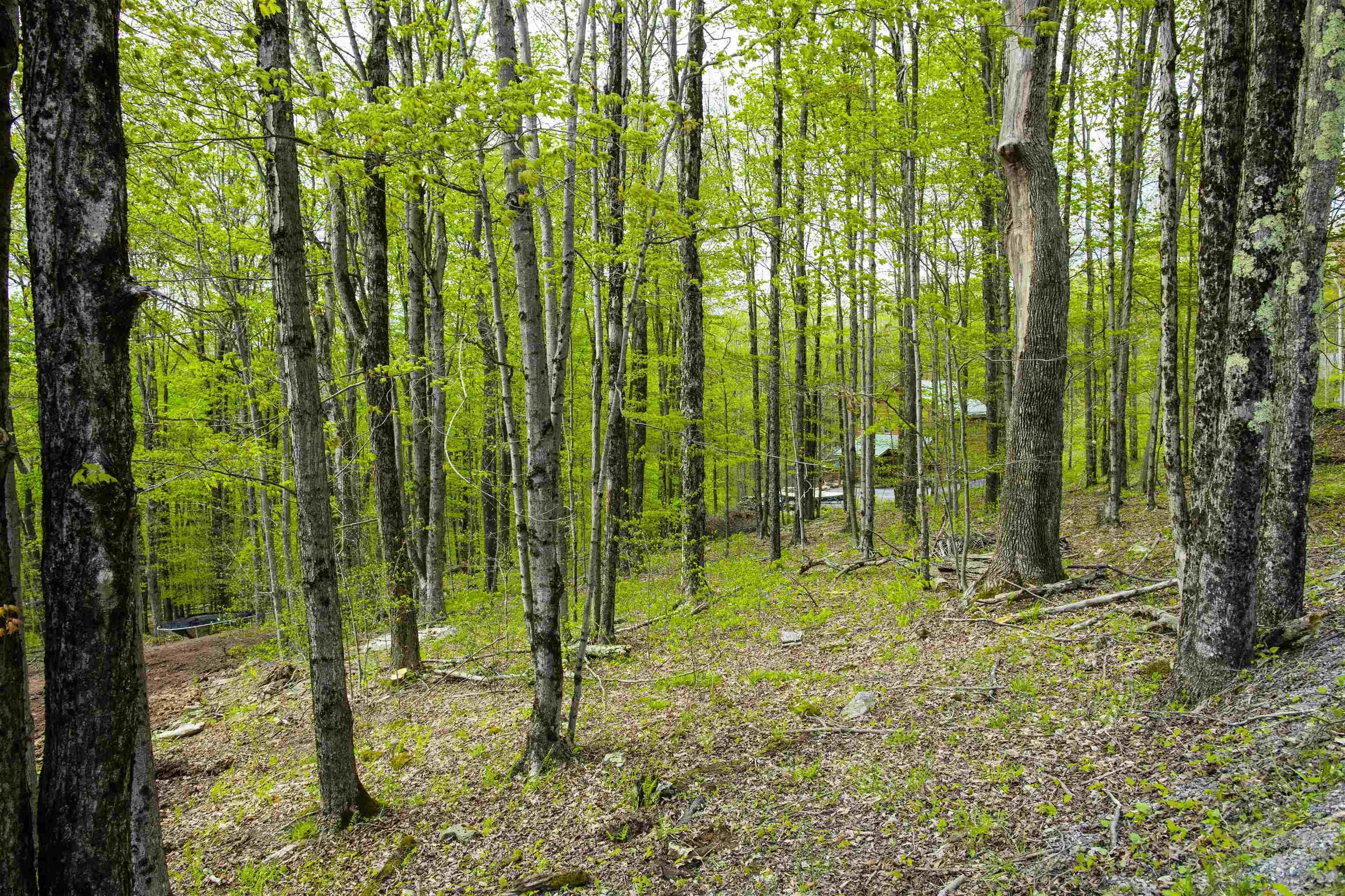 Gallery Image 18