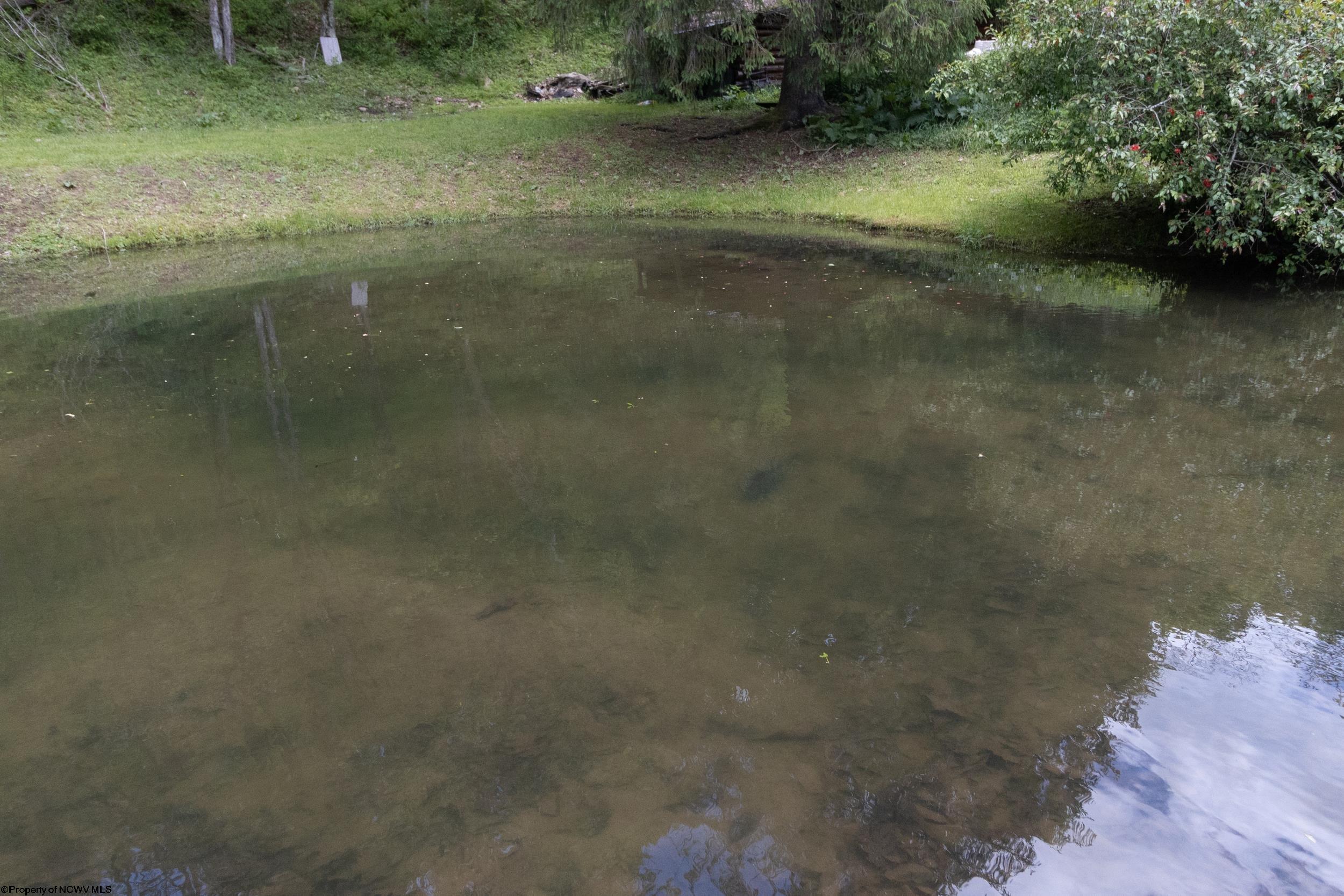 Gallery Image 41