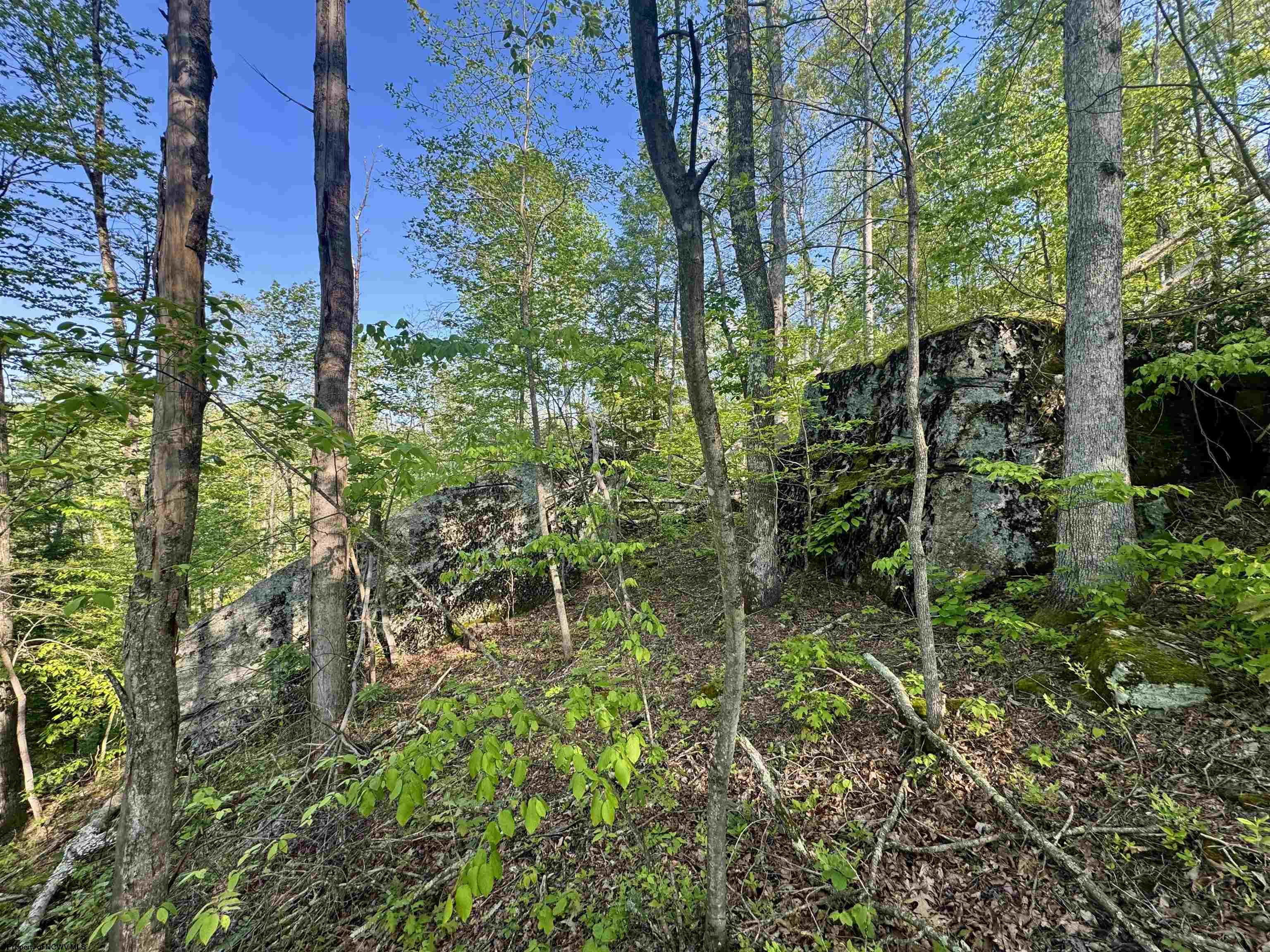 Gallery Image 11