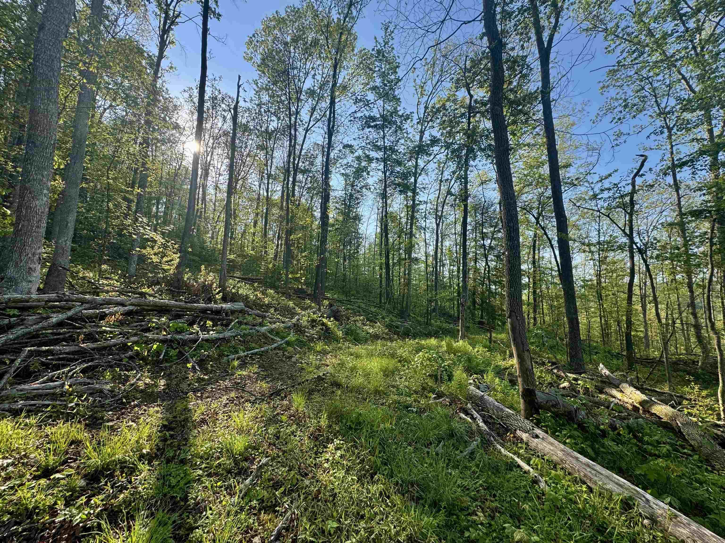 Gallery Image 14