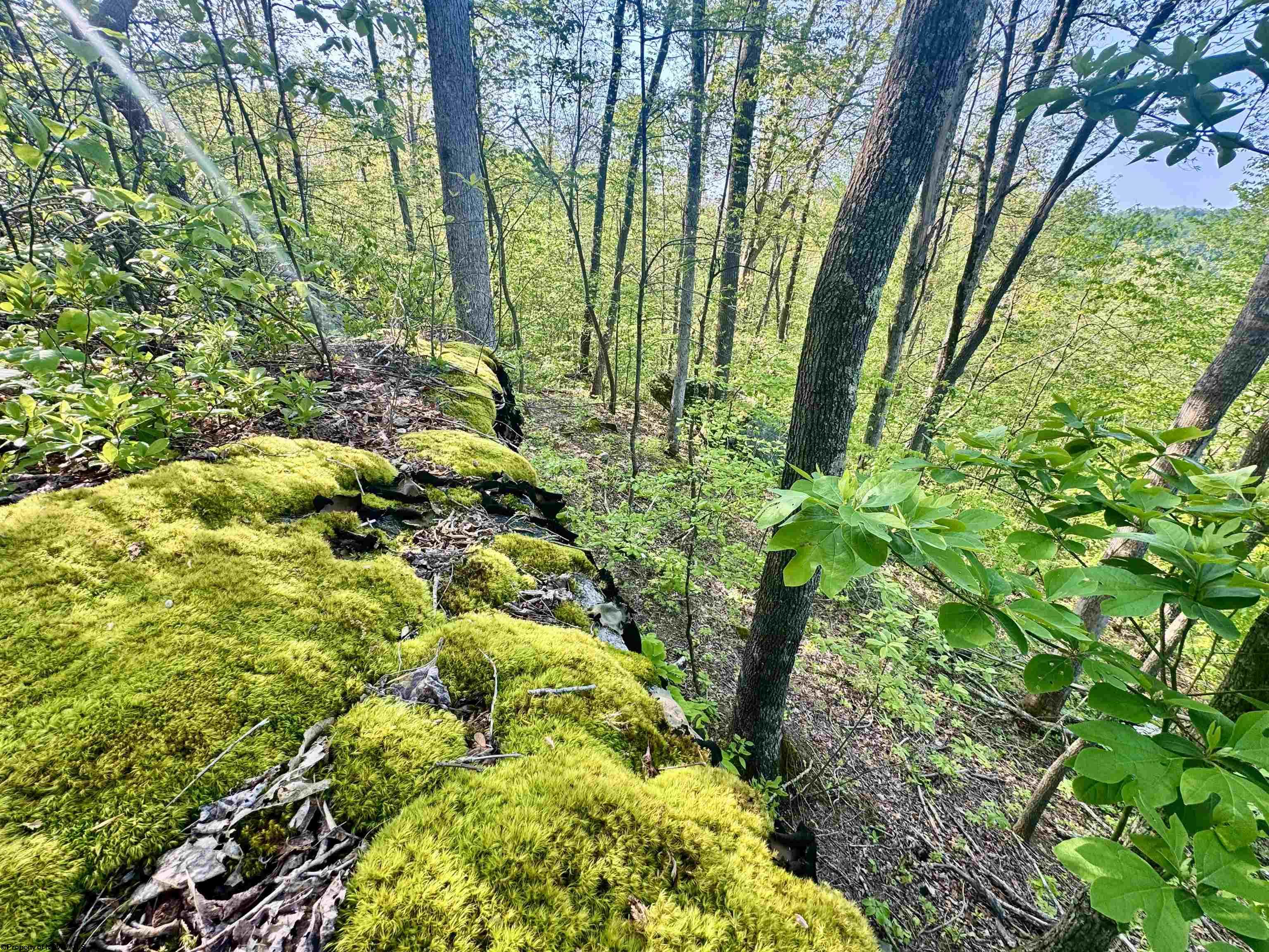 Gallery Image 17