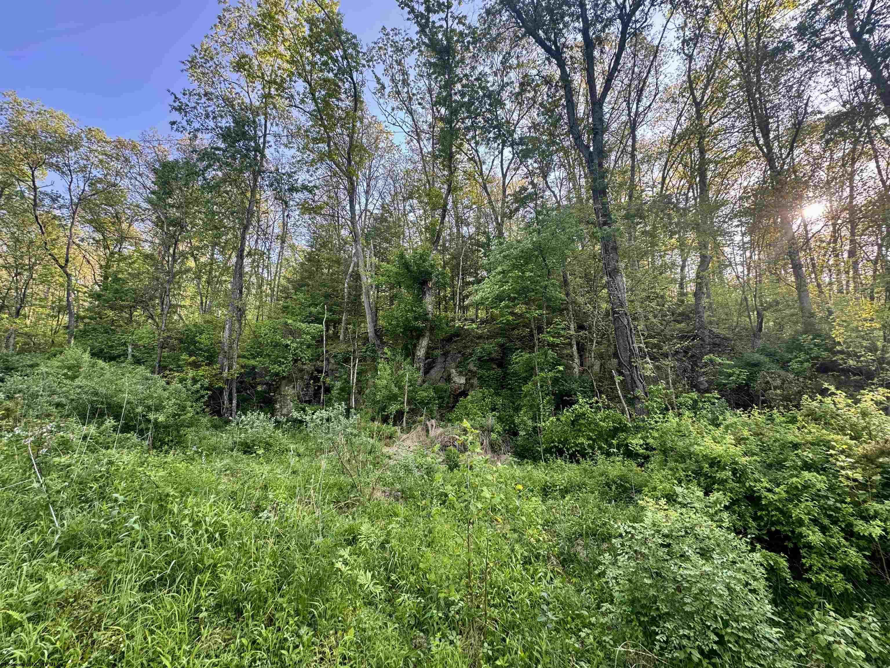 Gallery Image 18