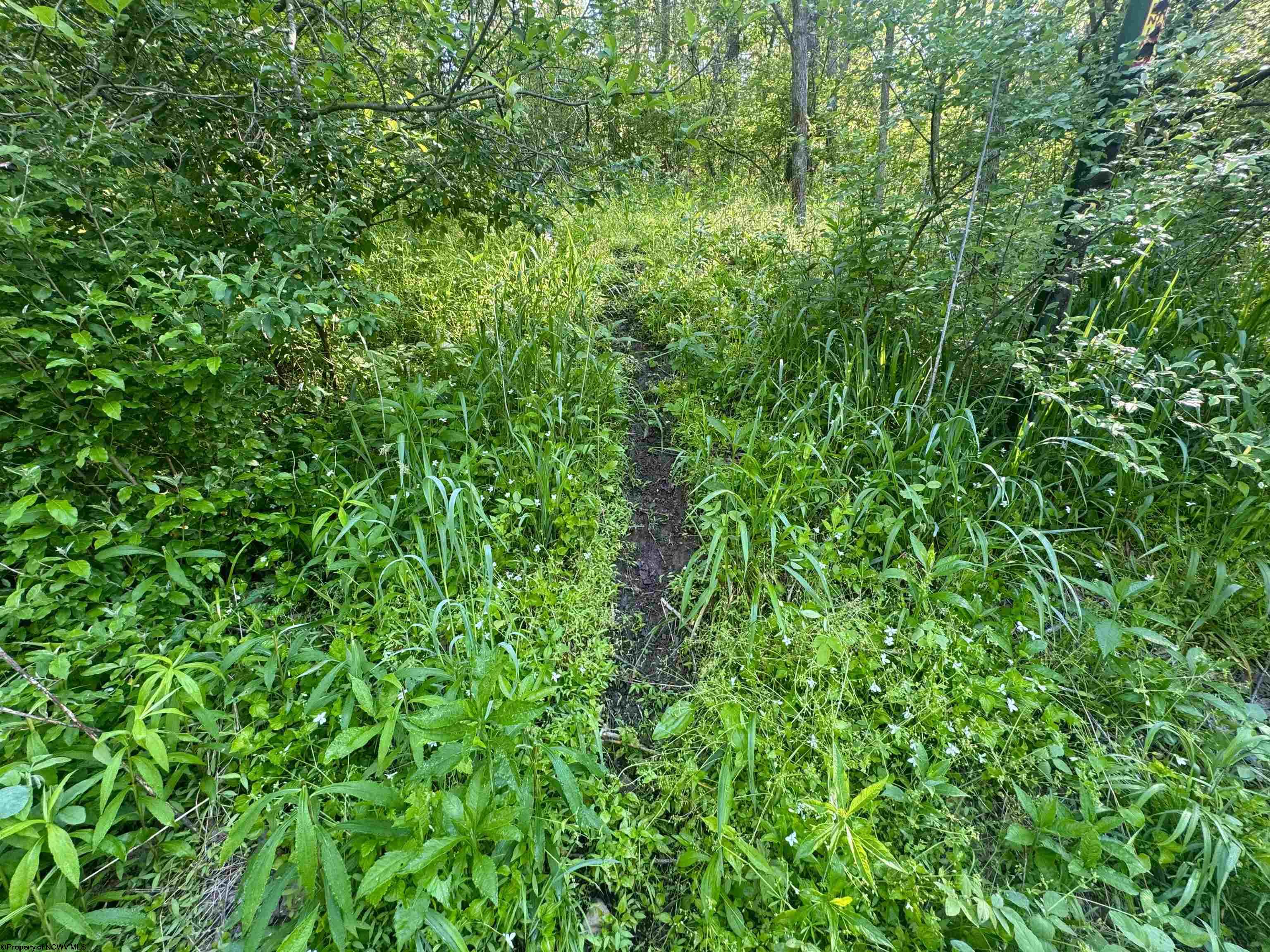 Gallery Image 38