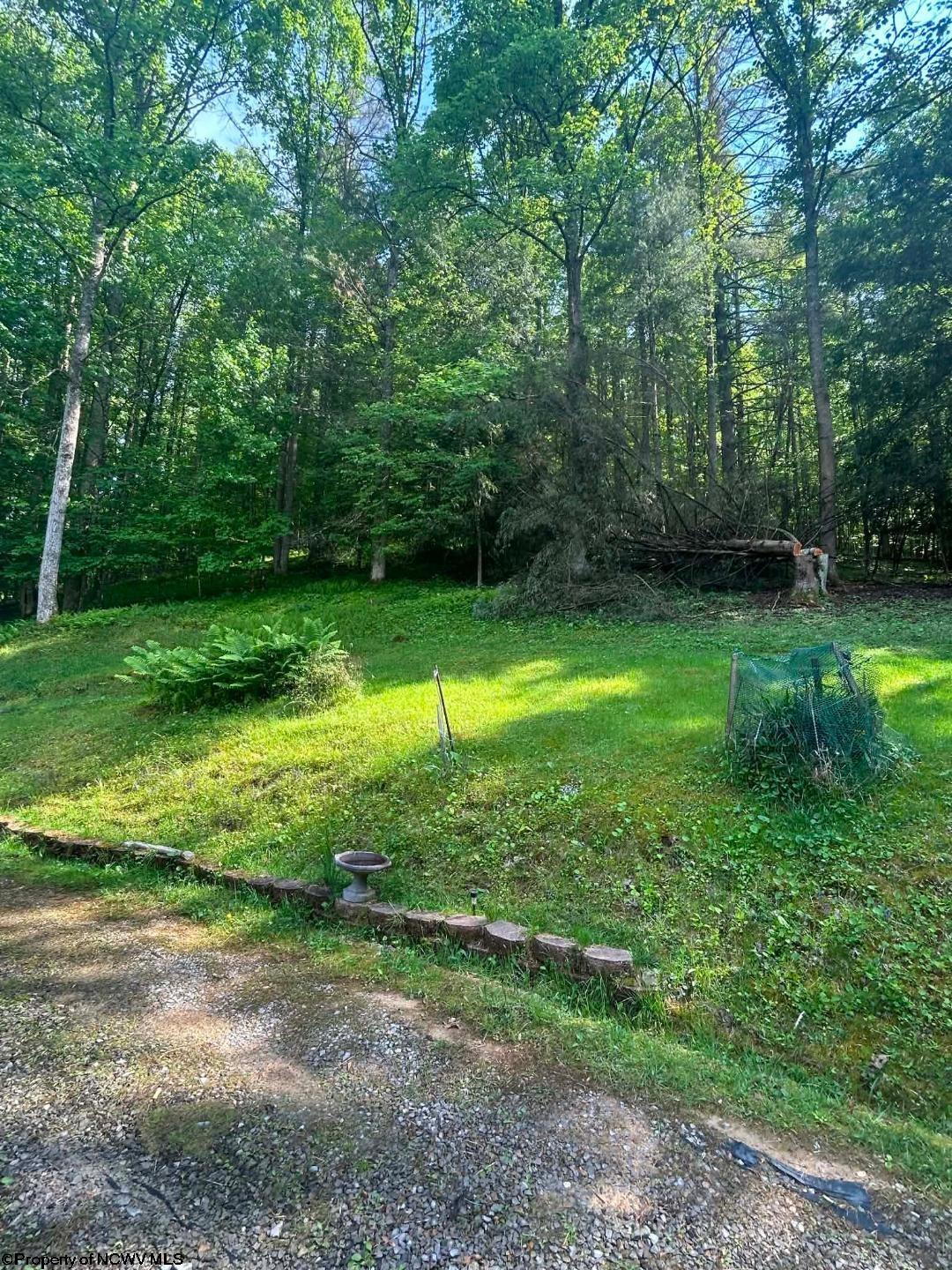 Gallery Image 10