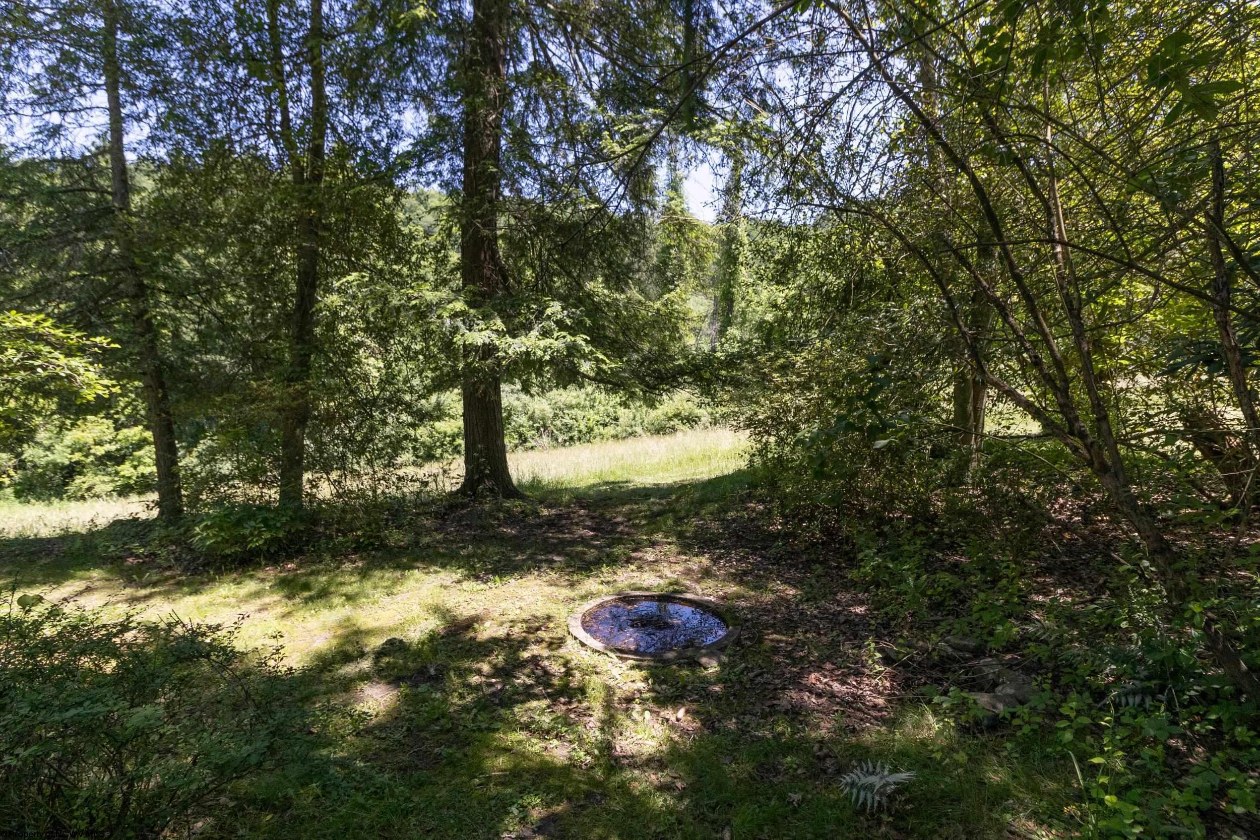 Gallery Image 36