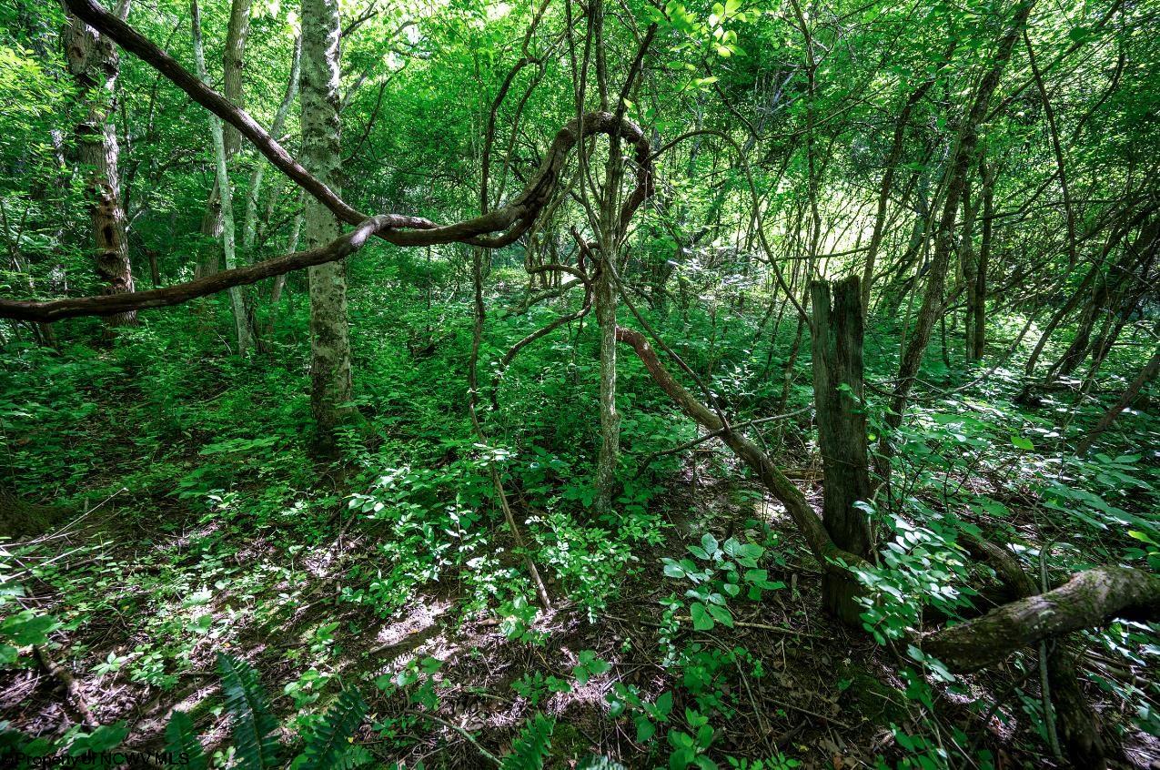 Gallery Image 11