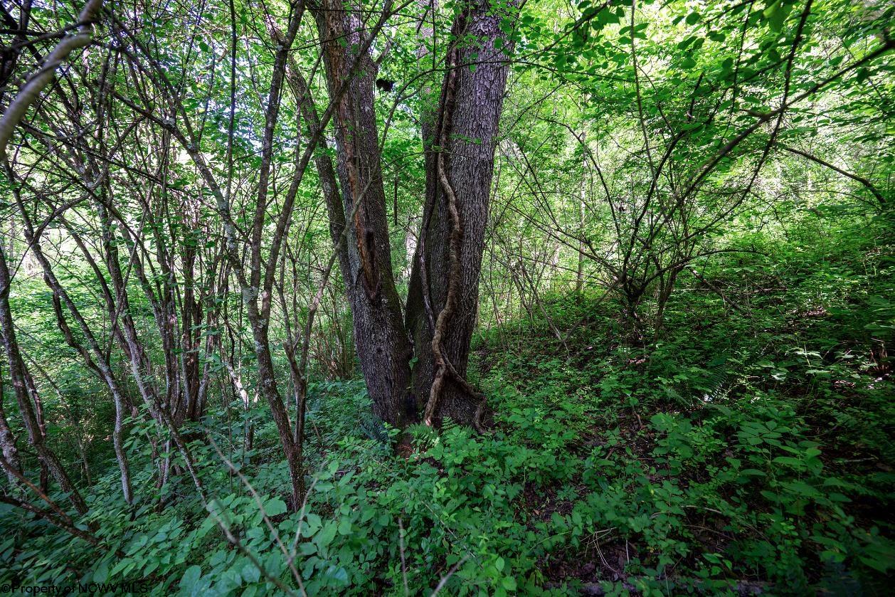 Gallery Image 15