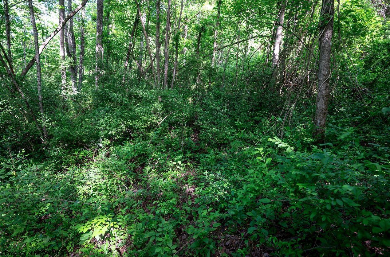 Gallery Image 16