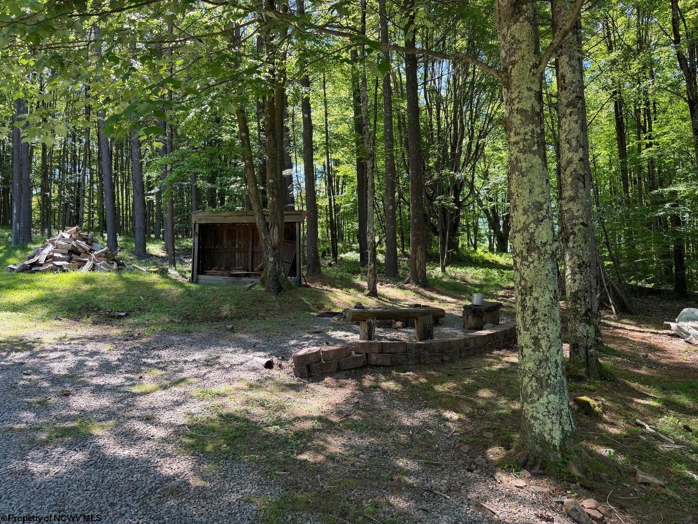 Gallery Image 12