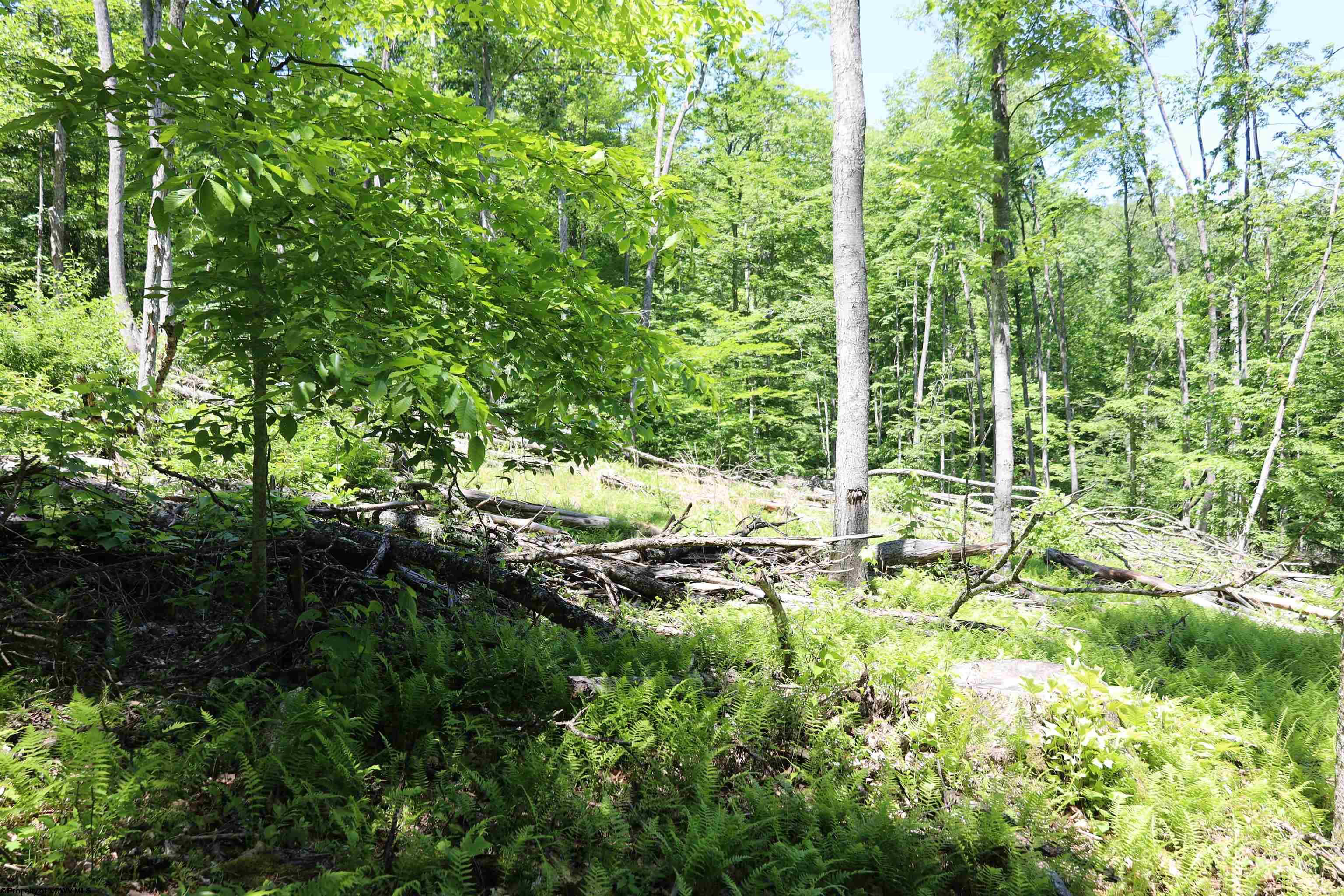 Gallery Image 25