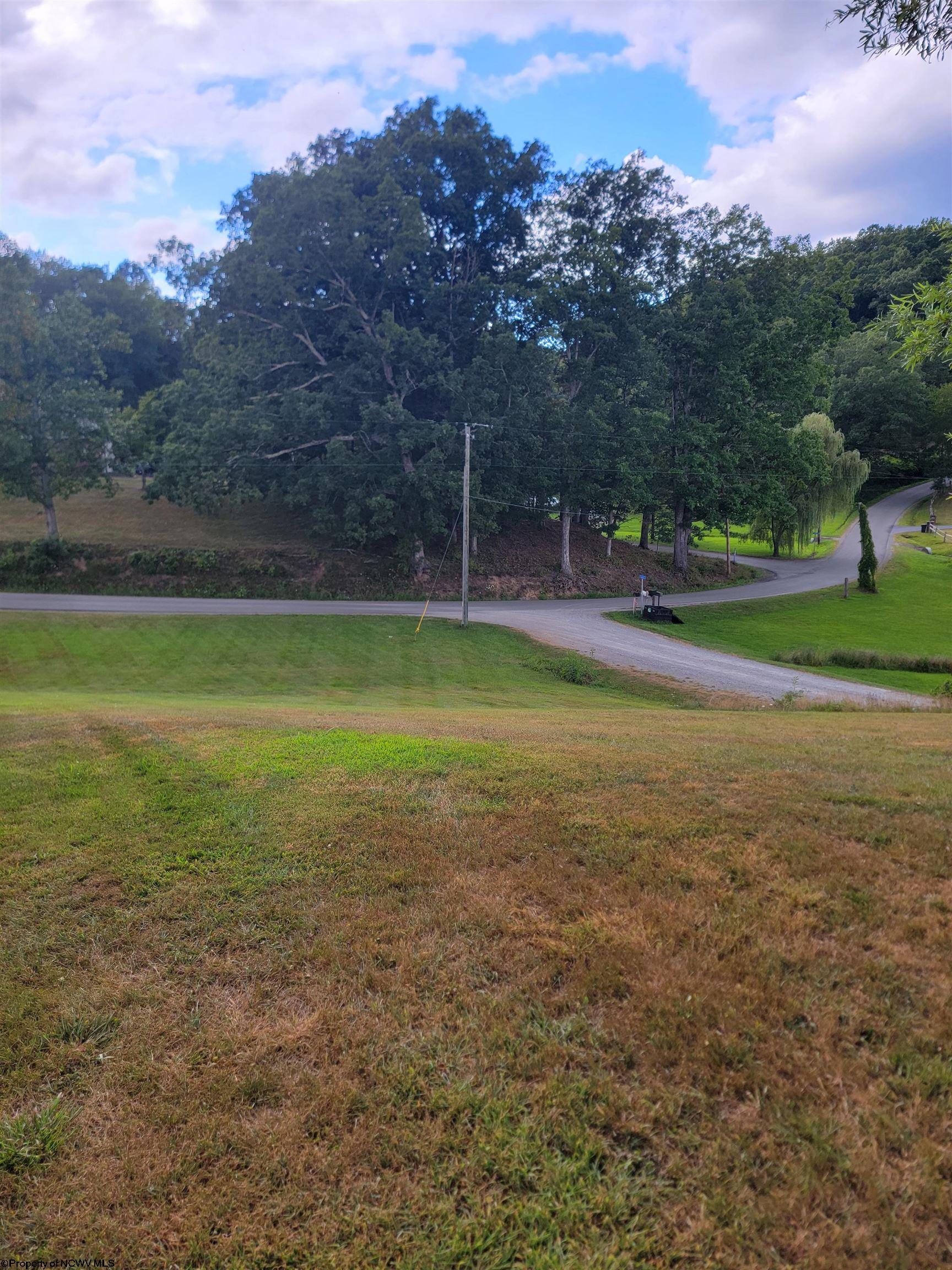 Gallery Image 11