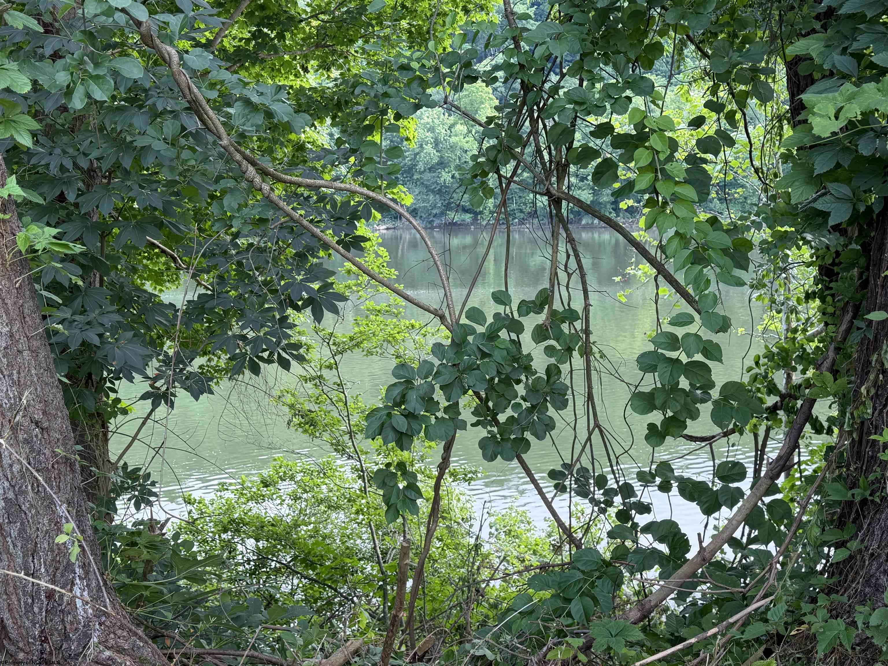 Gallery Image 26