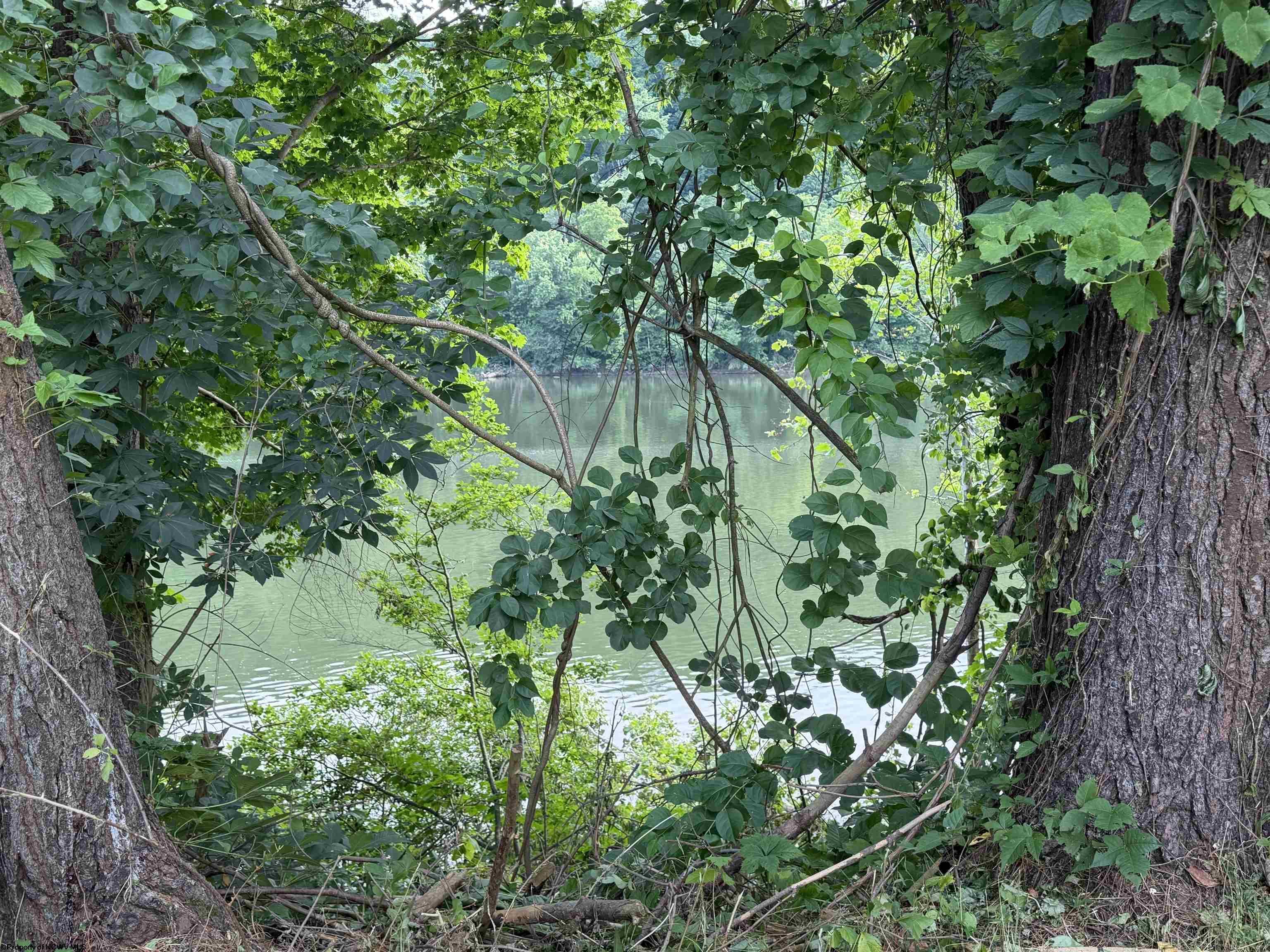 Gallery Image 27