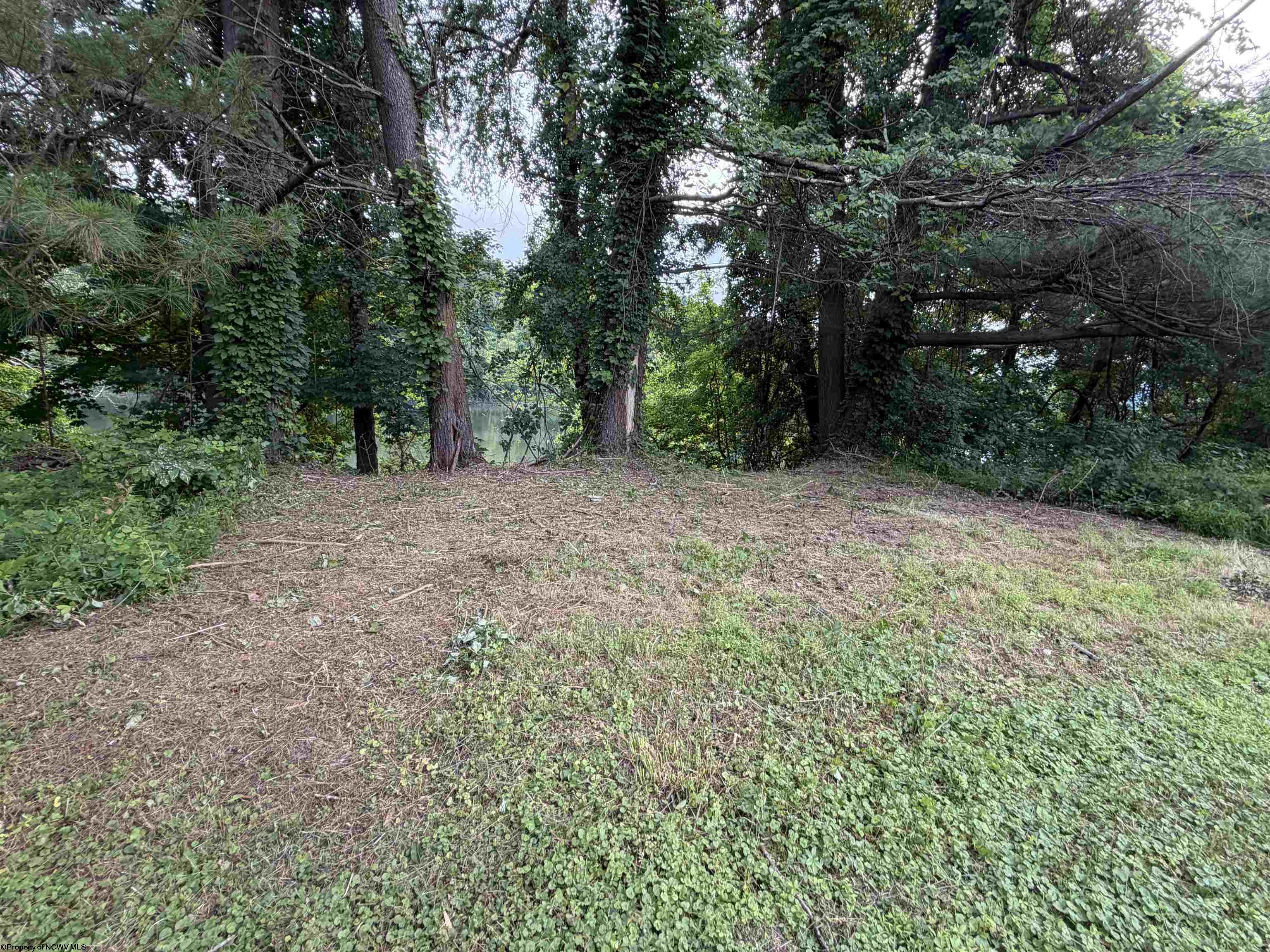Gallery Image 36