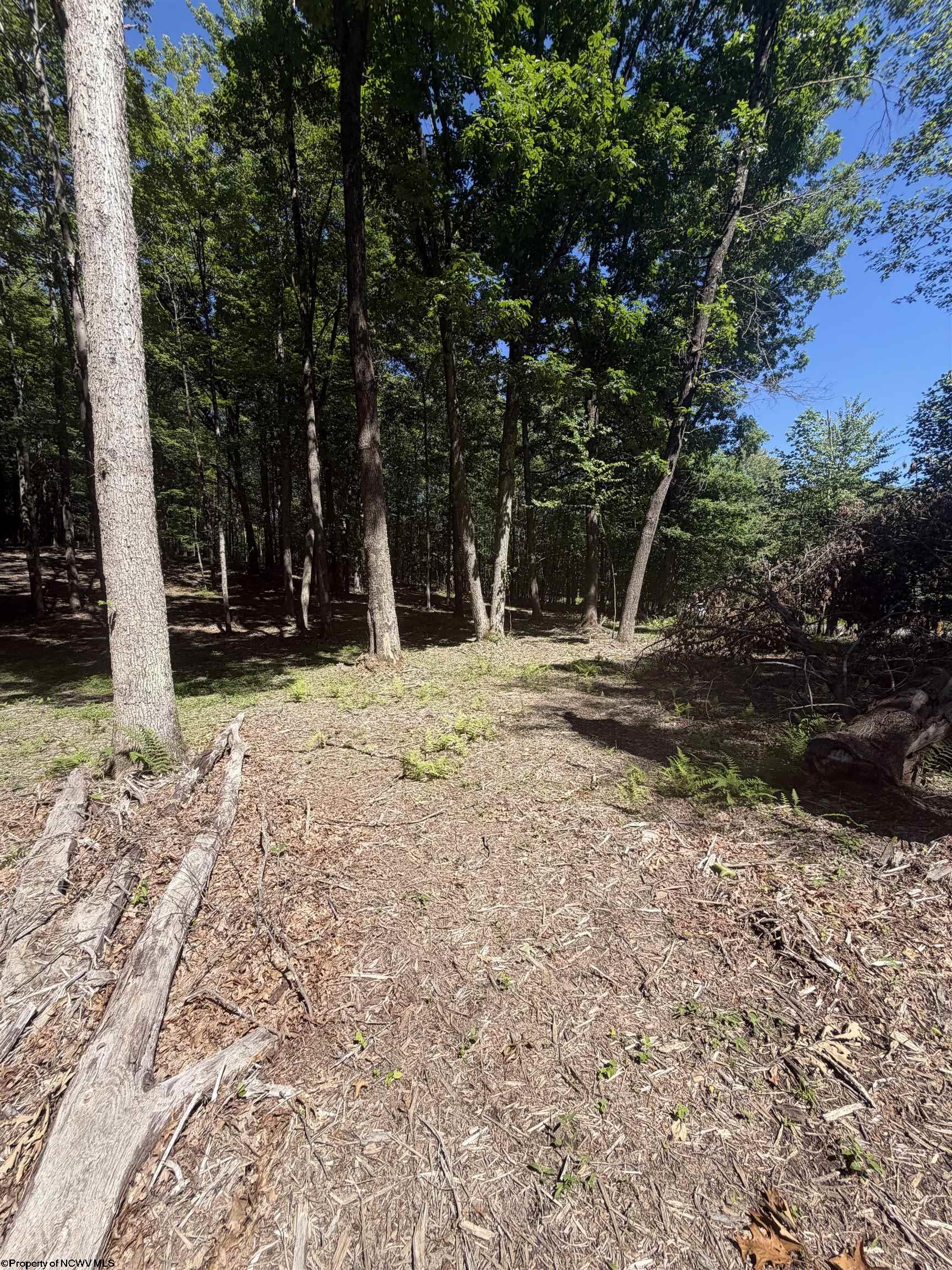 Gallery Image 11