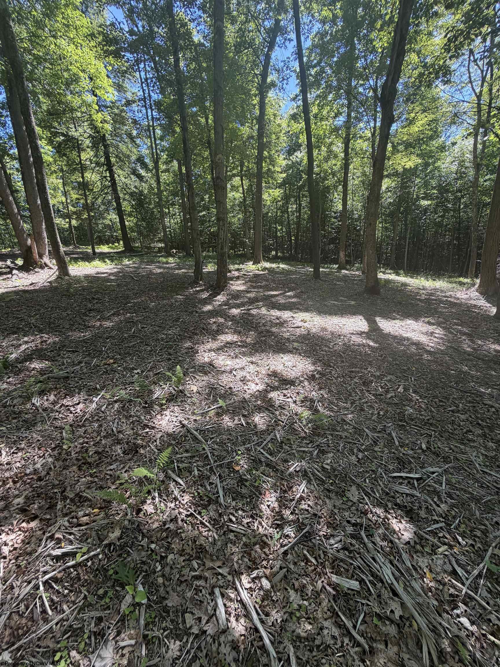 Gallery Image 15