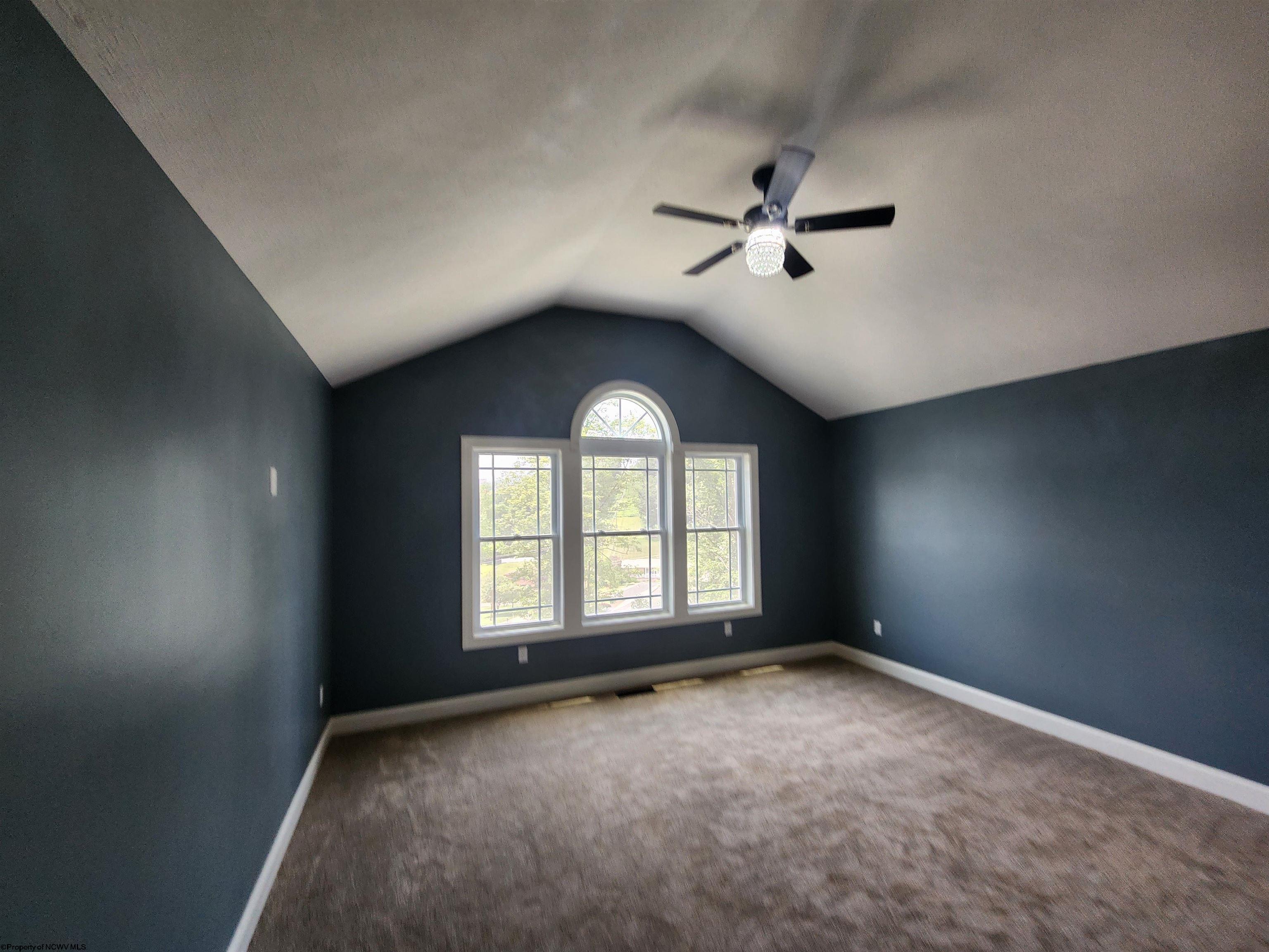 Gallery Image 19