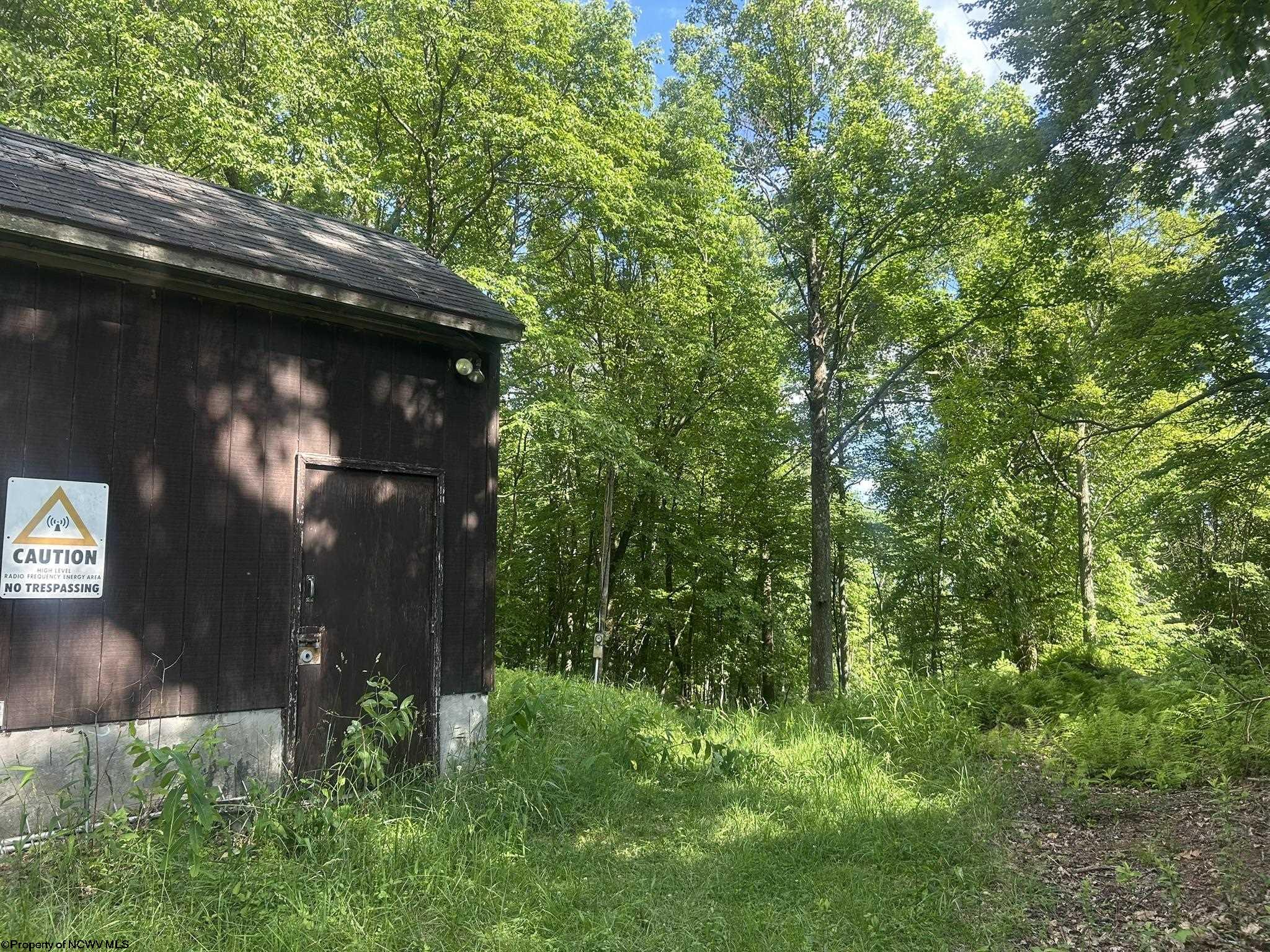 Gallery Image 10