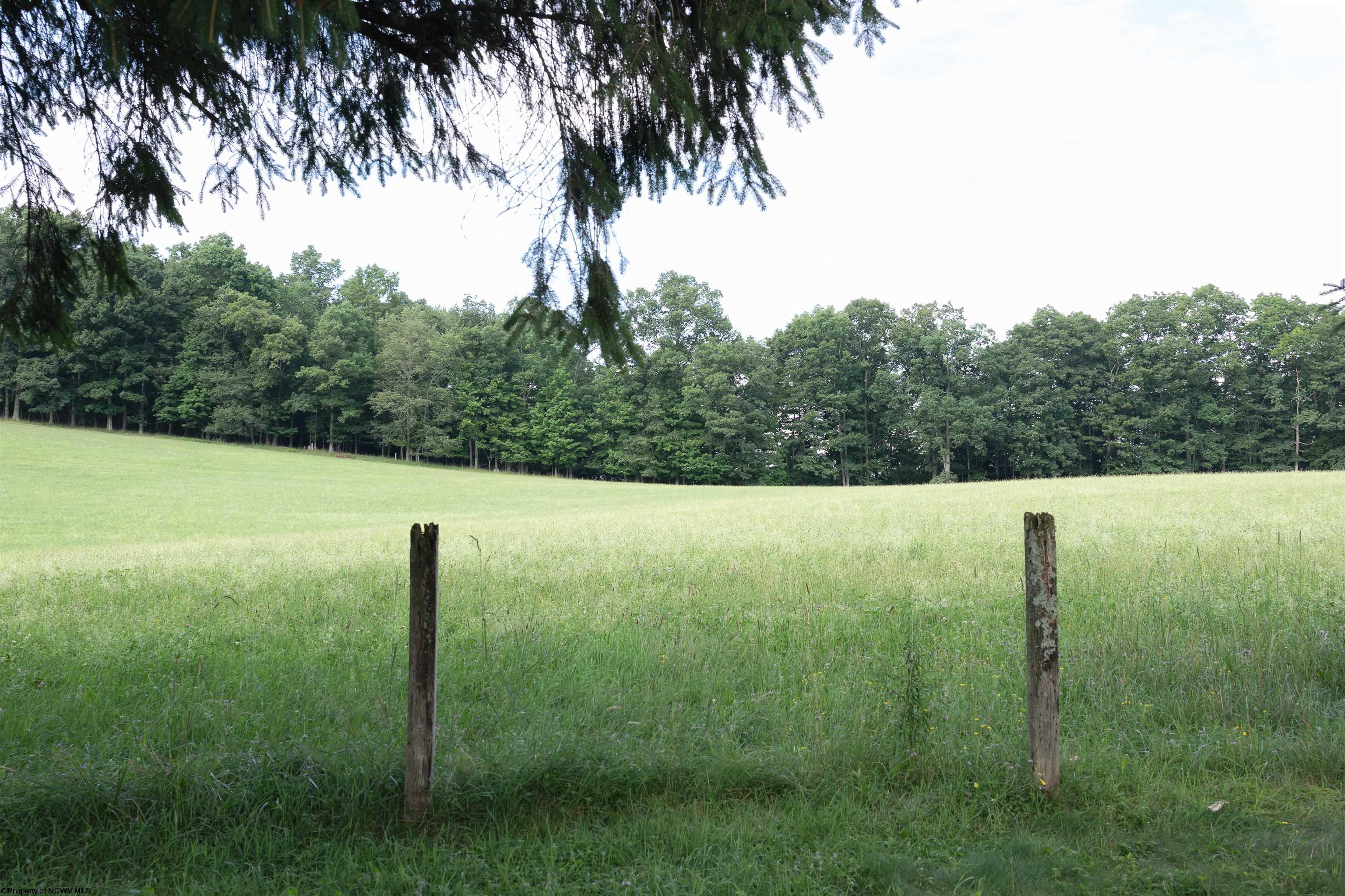 Gallery Image 29
