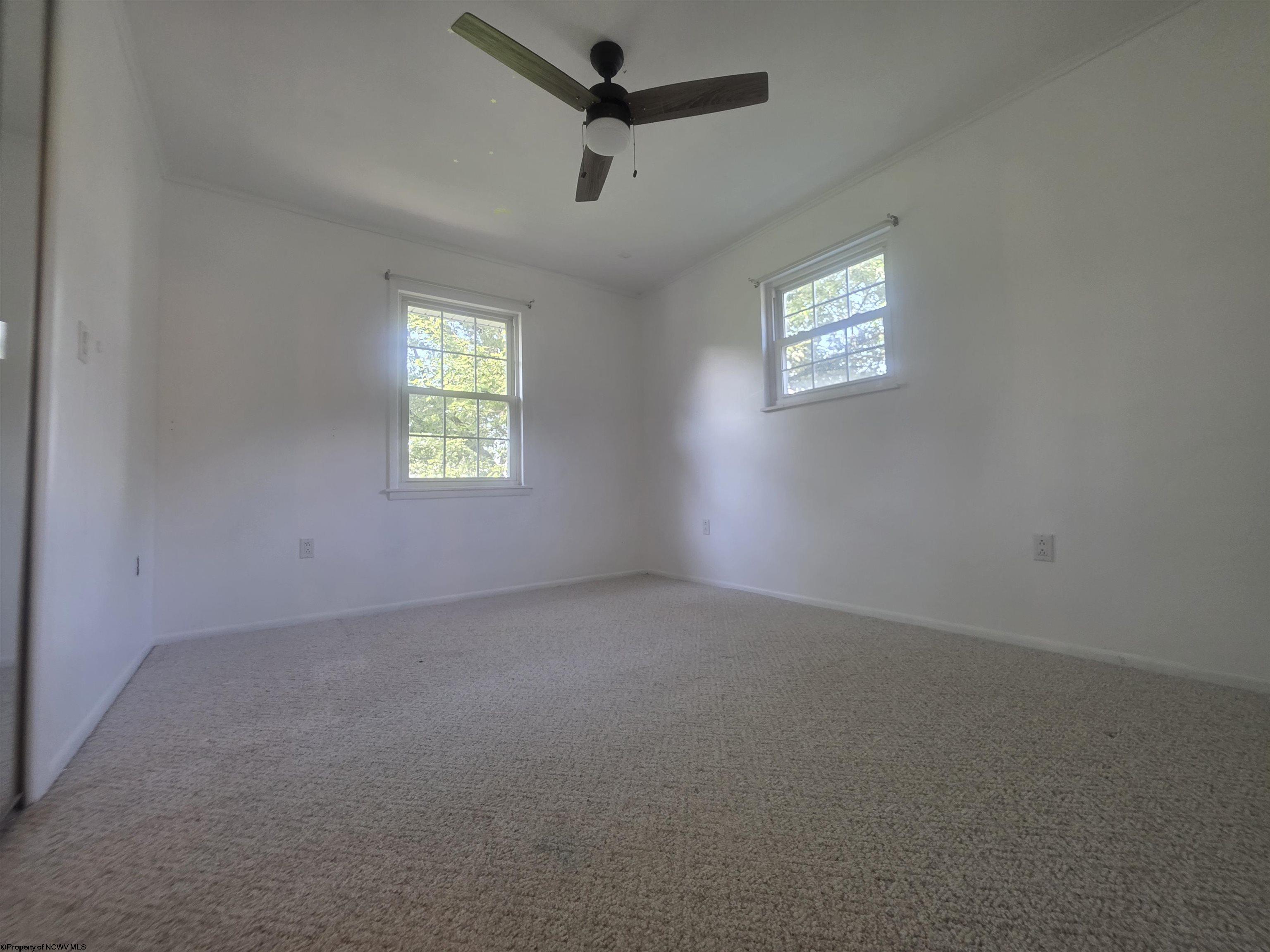 Gallery Image 16