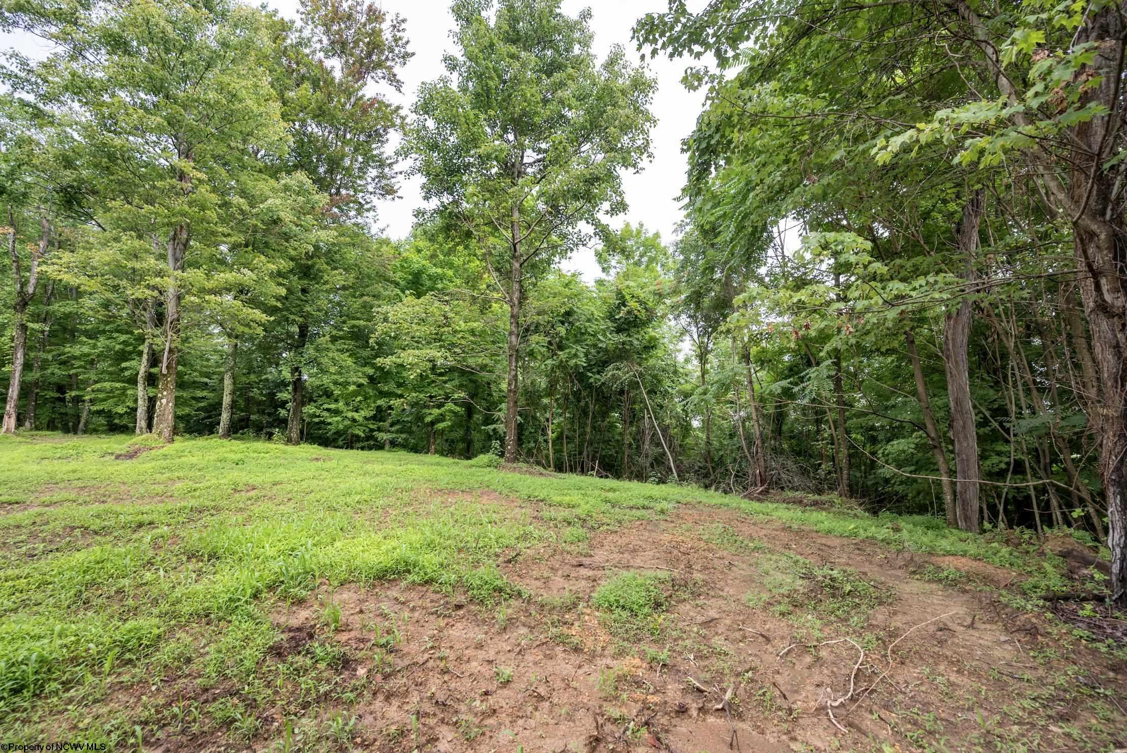 Gallery Image 14